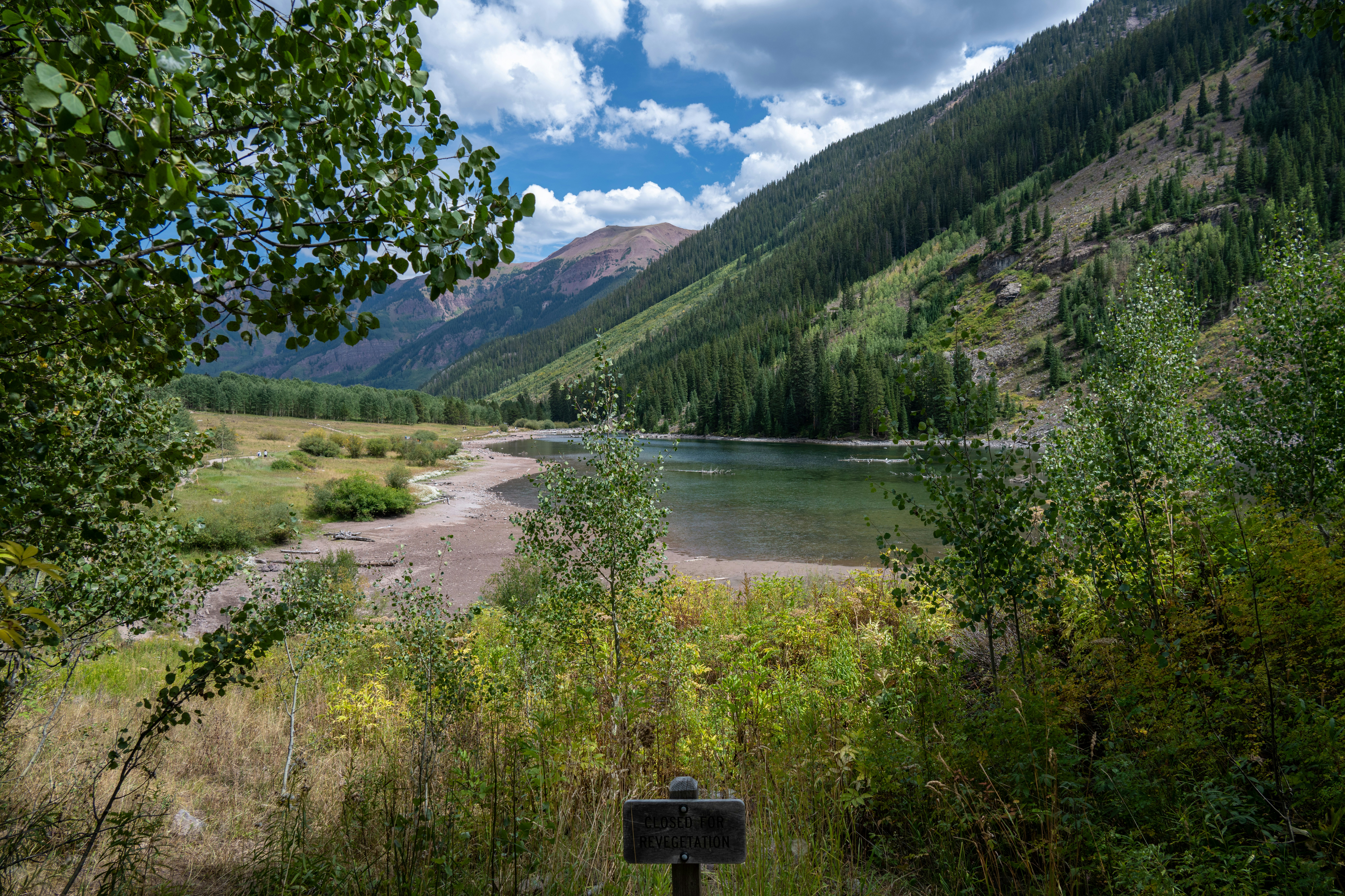 Ein ruhiger Bergsee, umgeben von saftig grünen Bäumen.