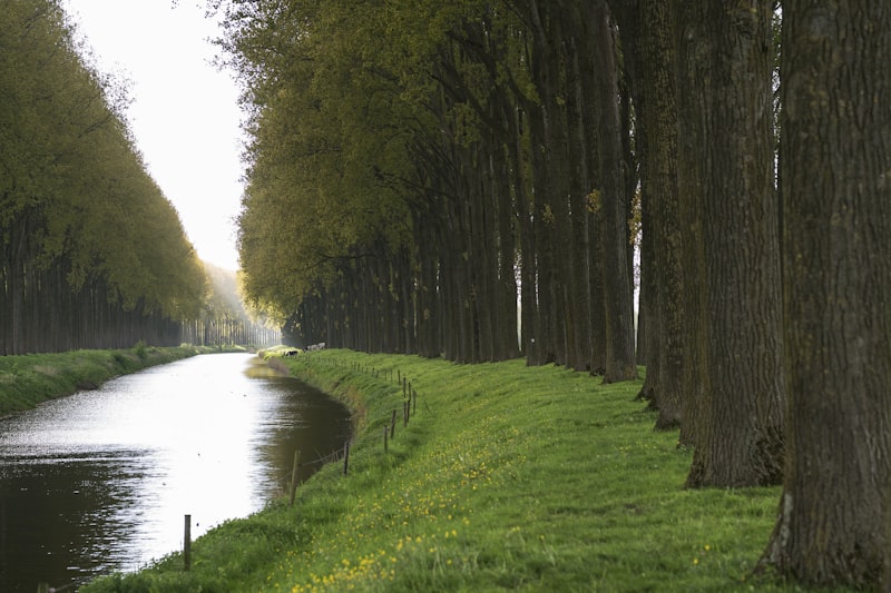 Damme: A Day Trip That Takes 30 Minutes
