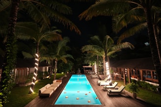 BDP+Partners, consulting, marketing, f&b, hospitality, luxury, e-commerce