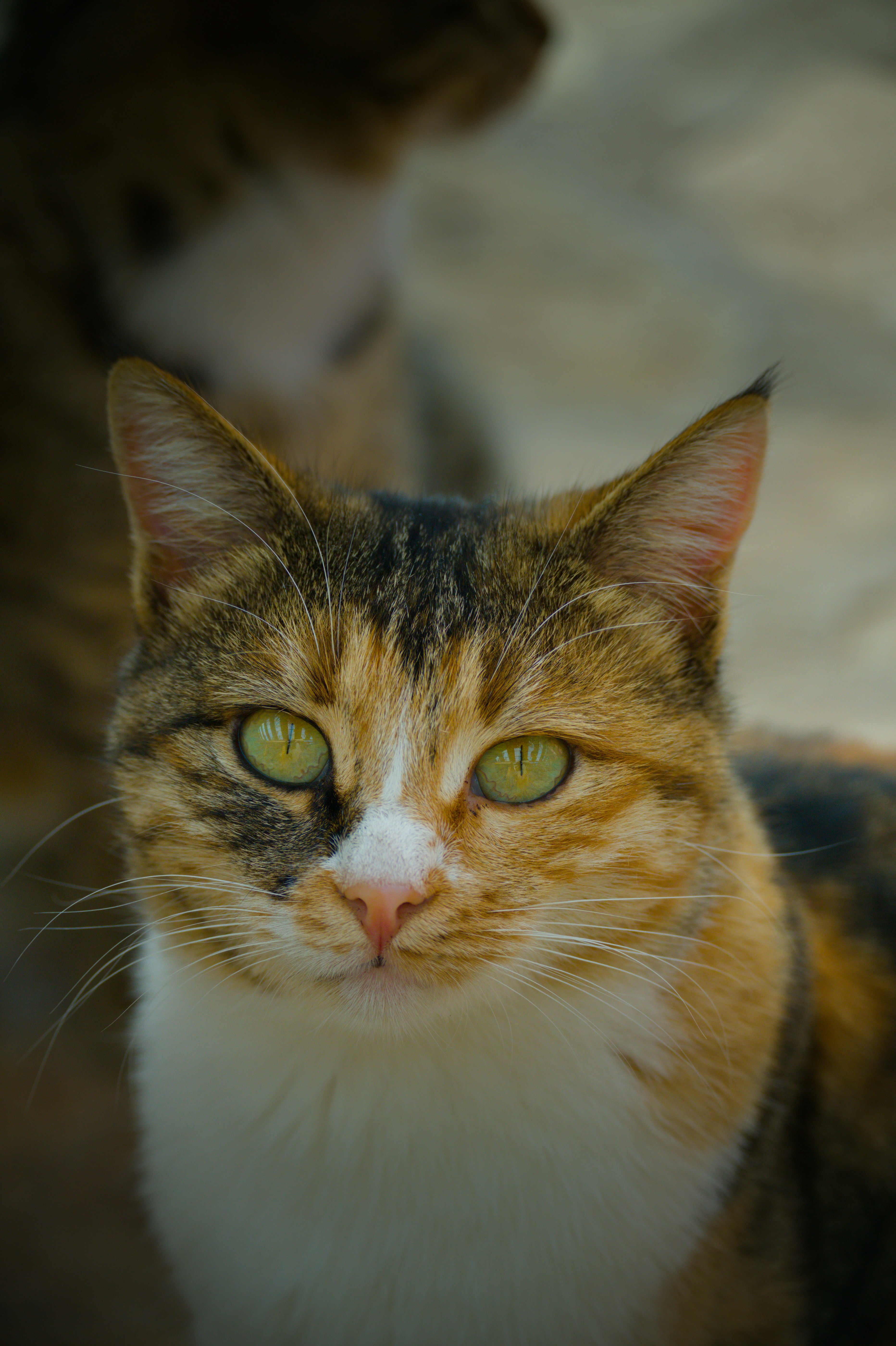 Photo by aminzabardast