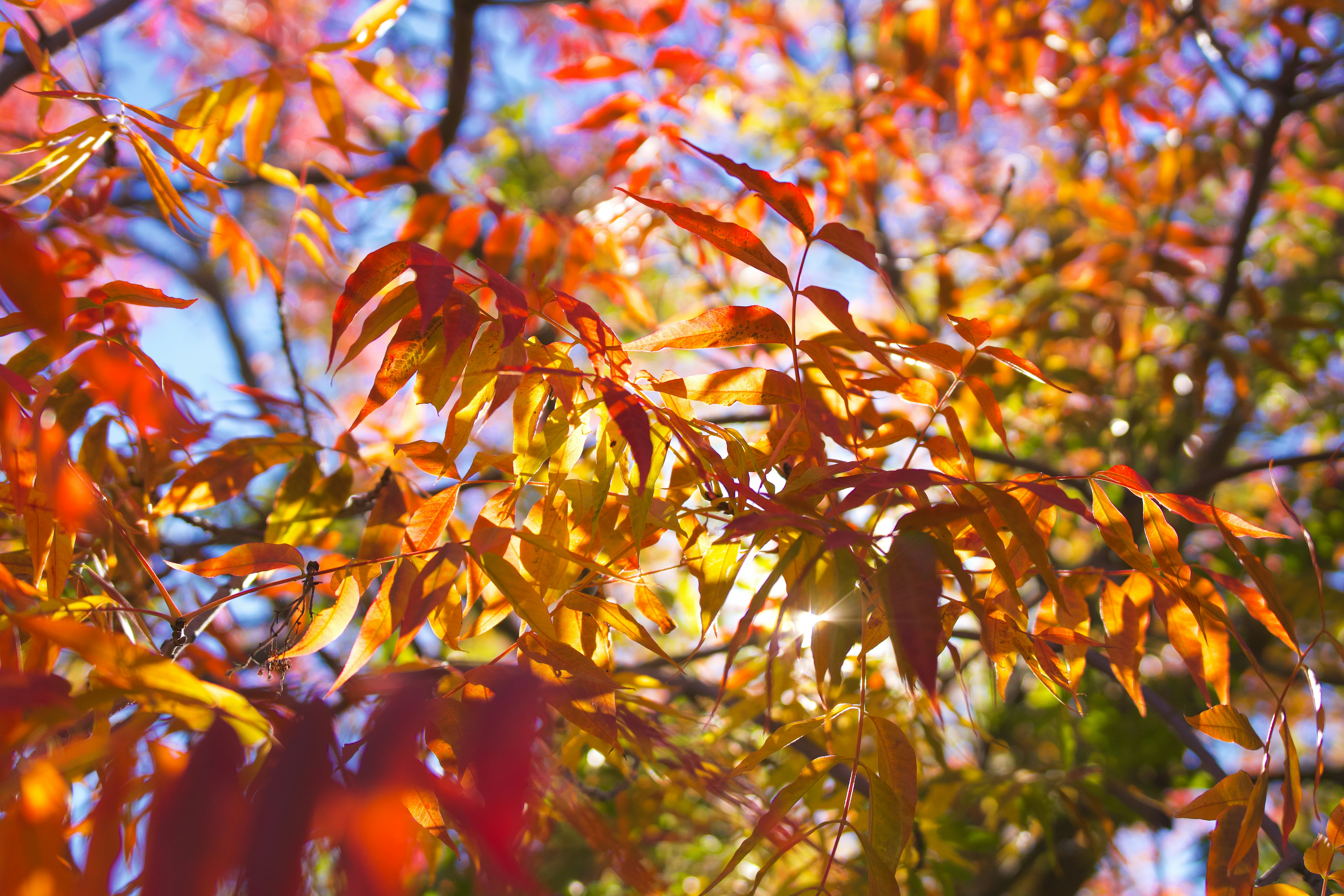 Photo by spencer_demera