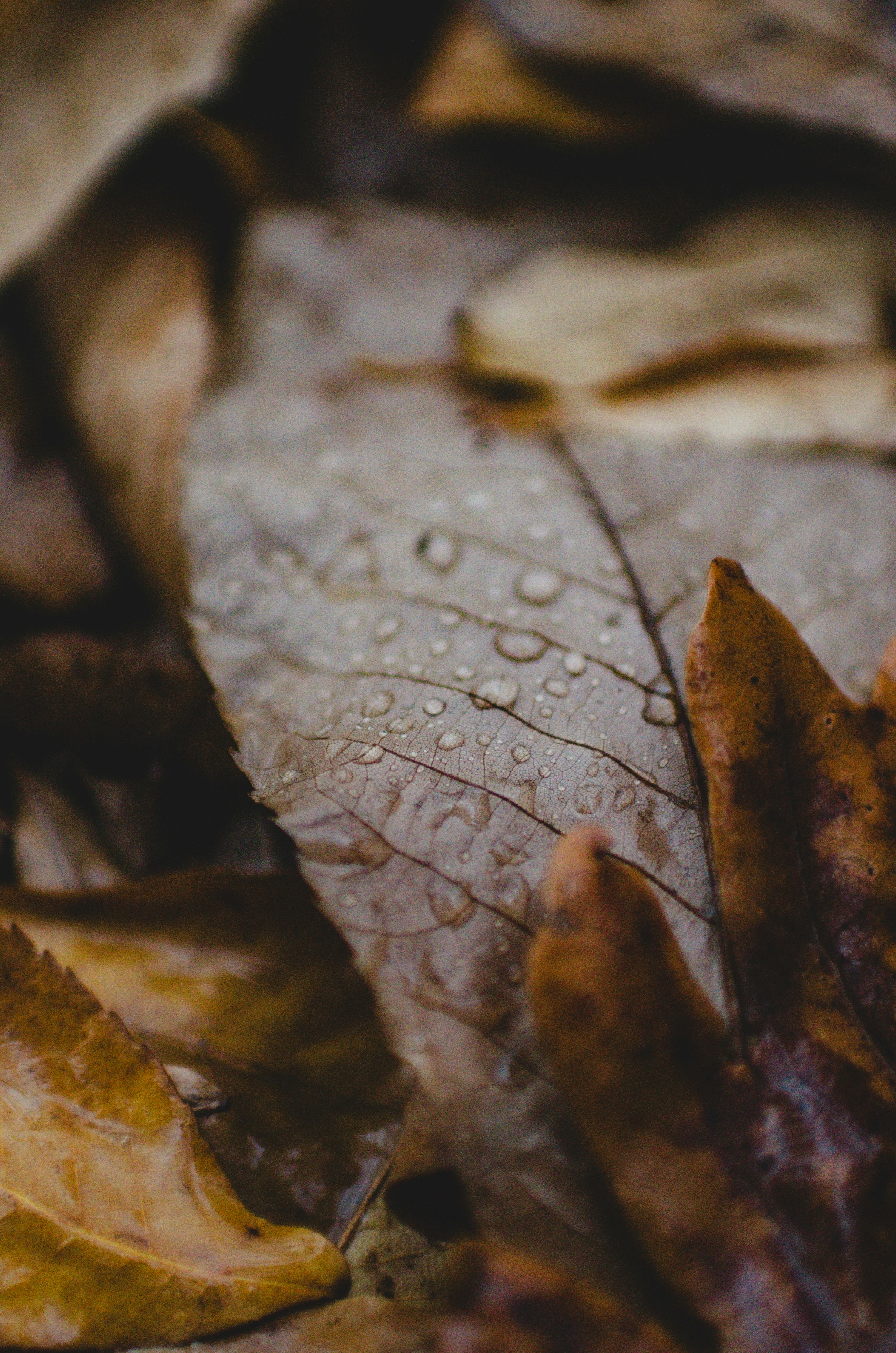 Photo by gamanalice3012