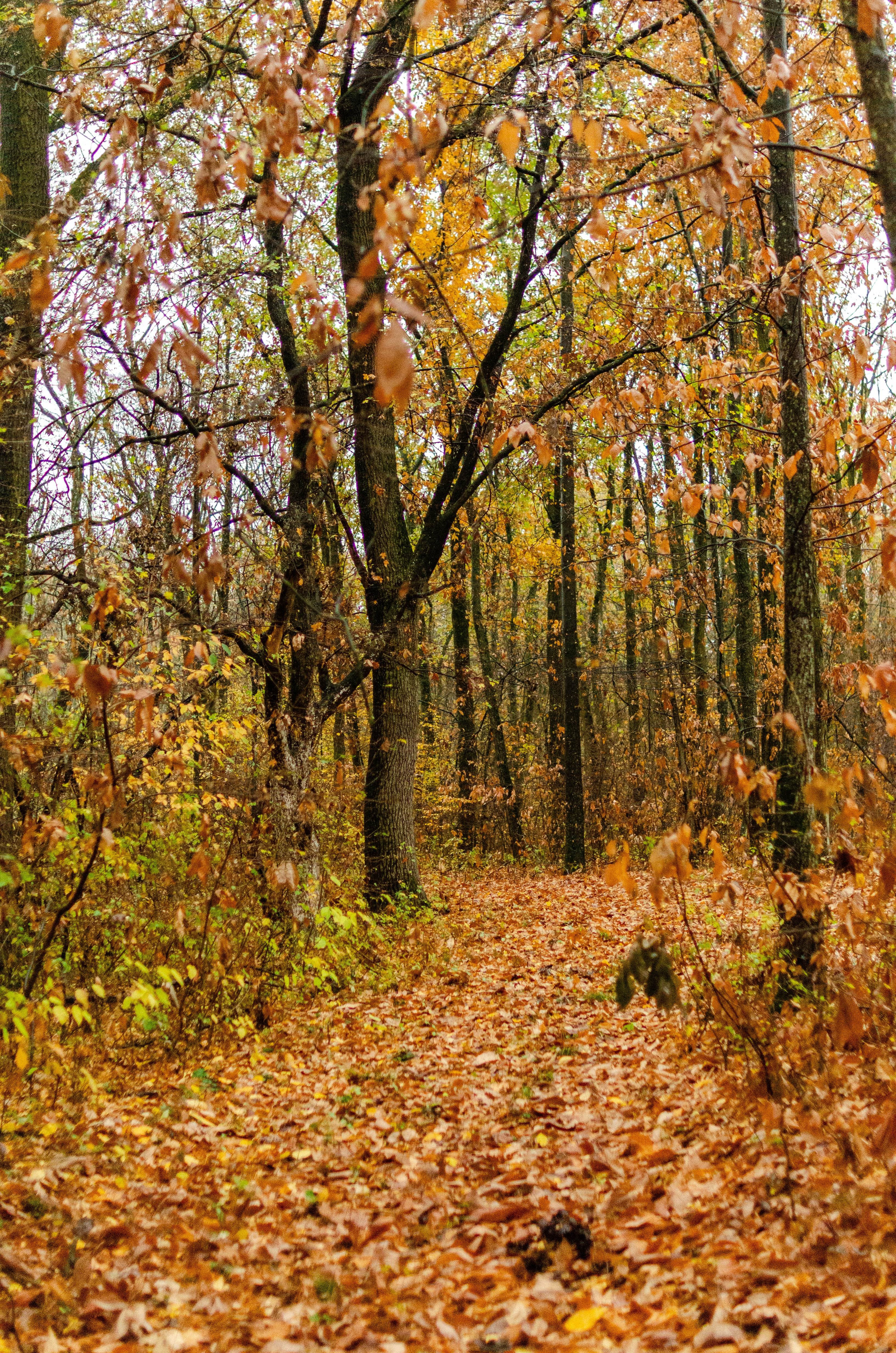 Photo by gamanalice3012