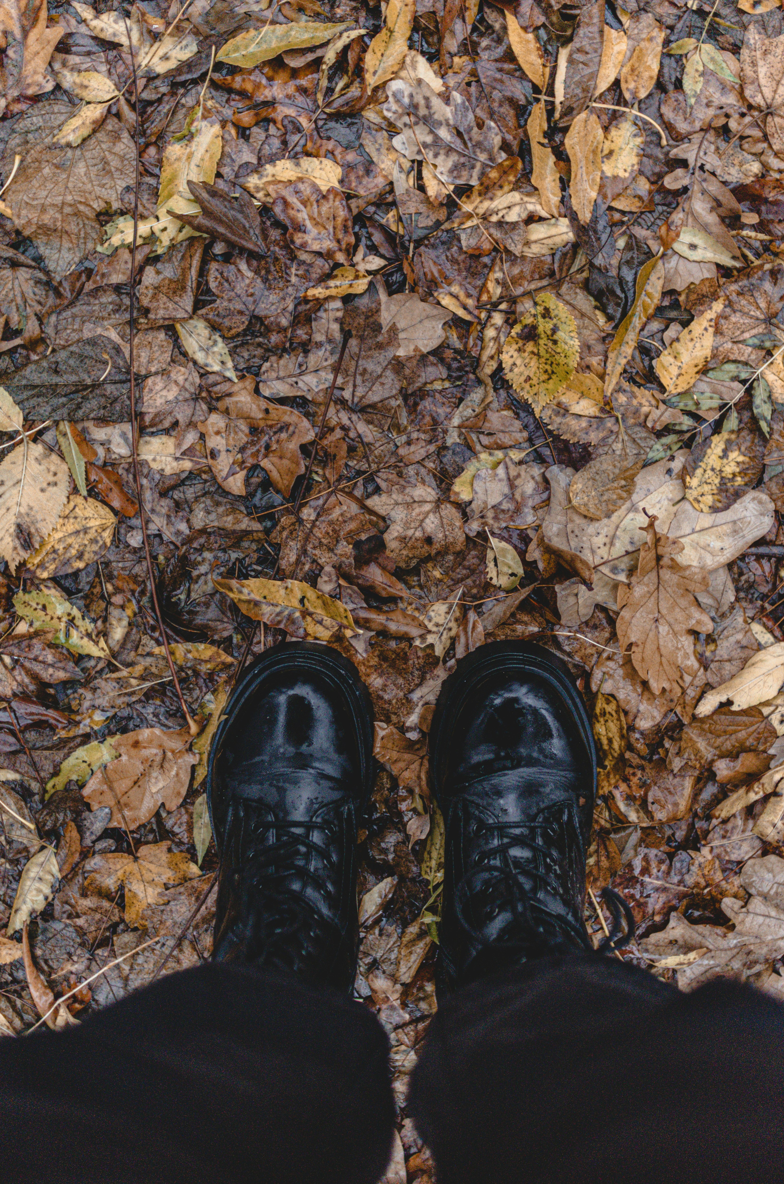 Photo by gamanalice3012