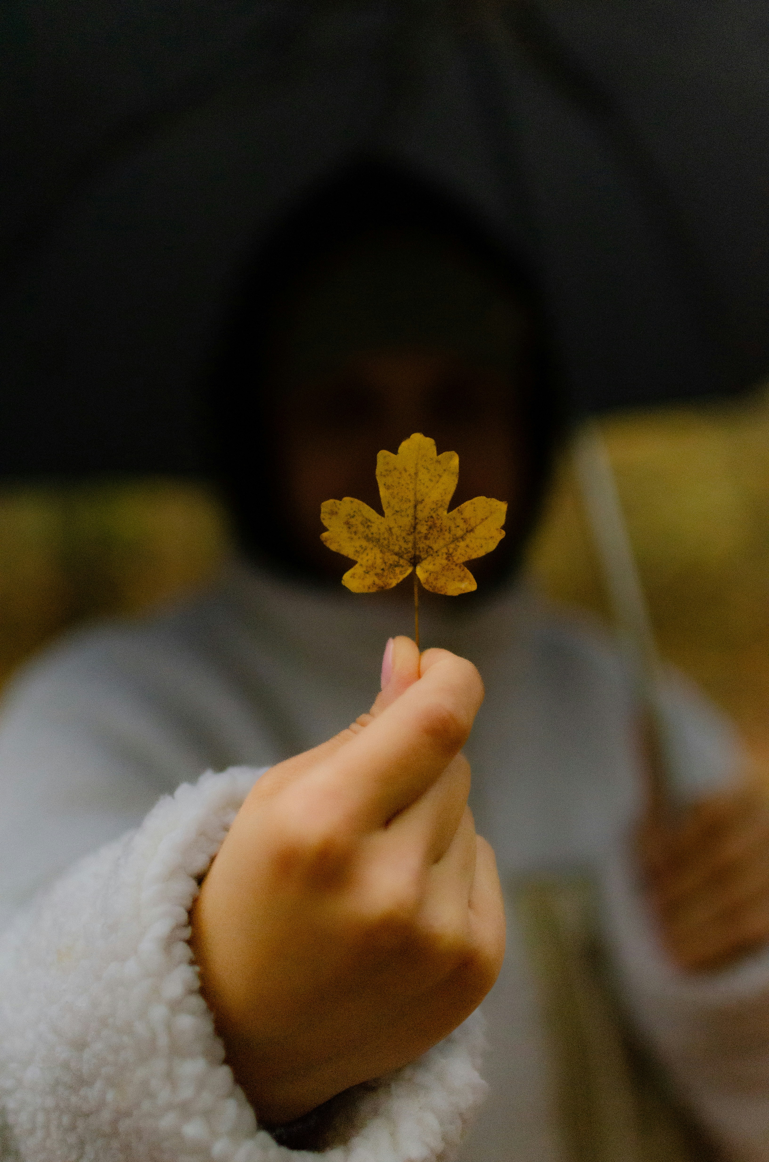 Persona che tiene una foglia autunnale gialla sotto l'ombrello