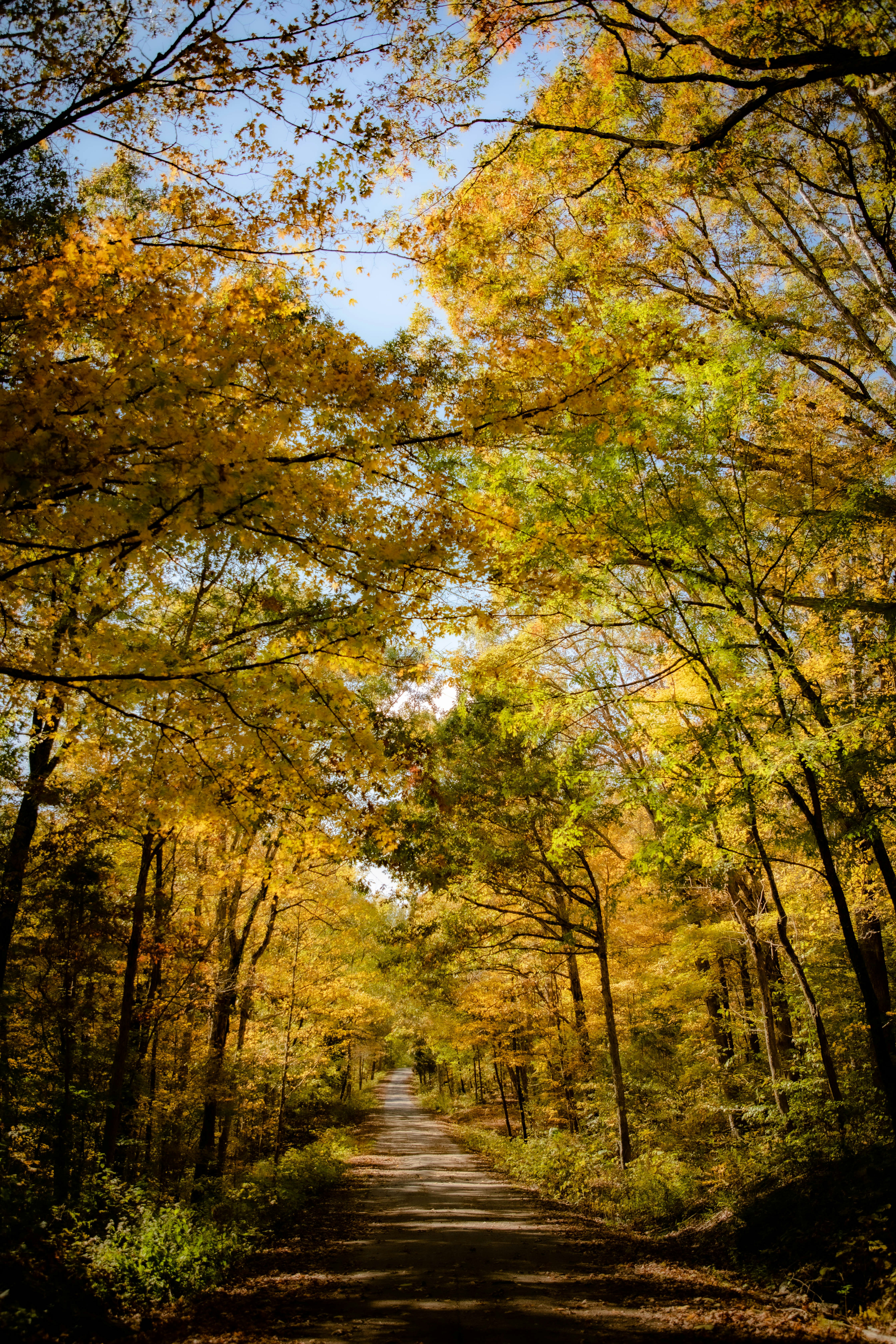 Photo by mitchbagnet