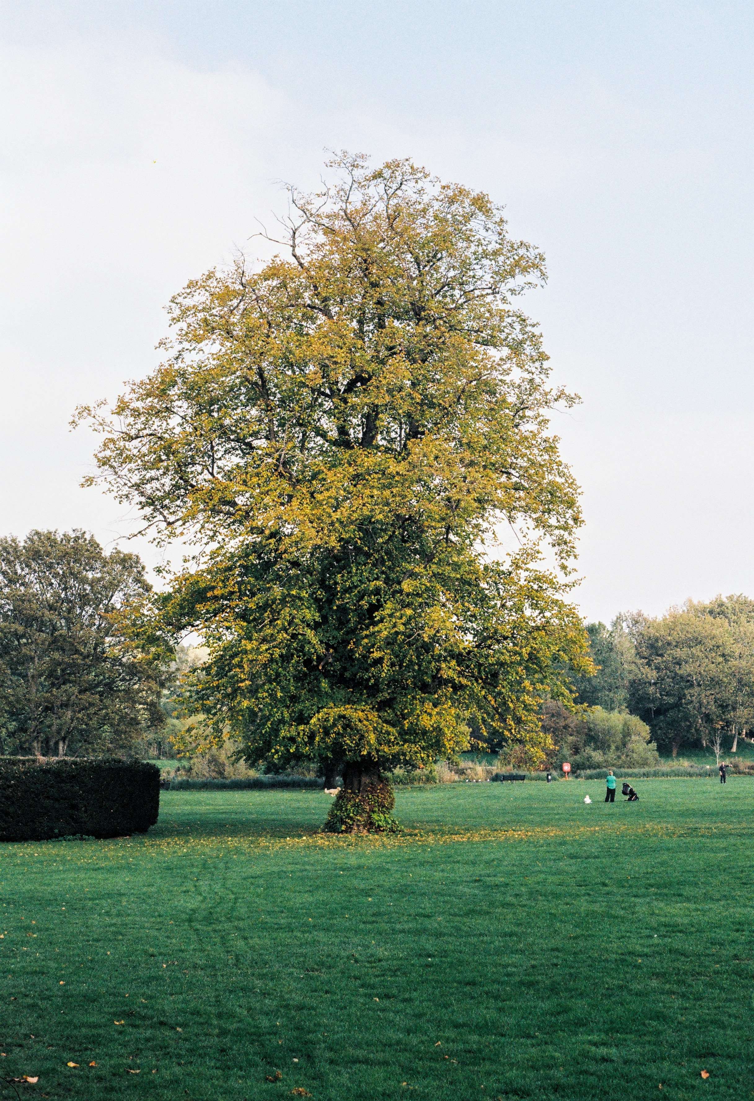 Photo by alexanderpharwood