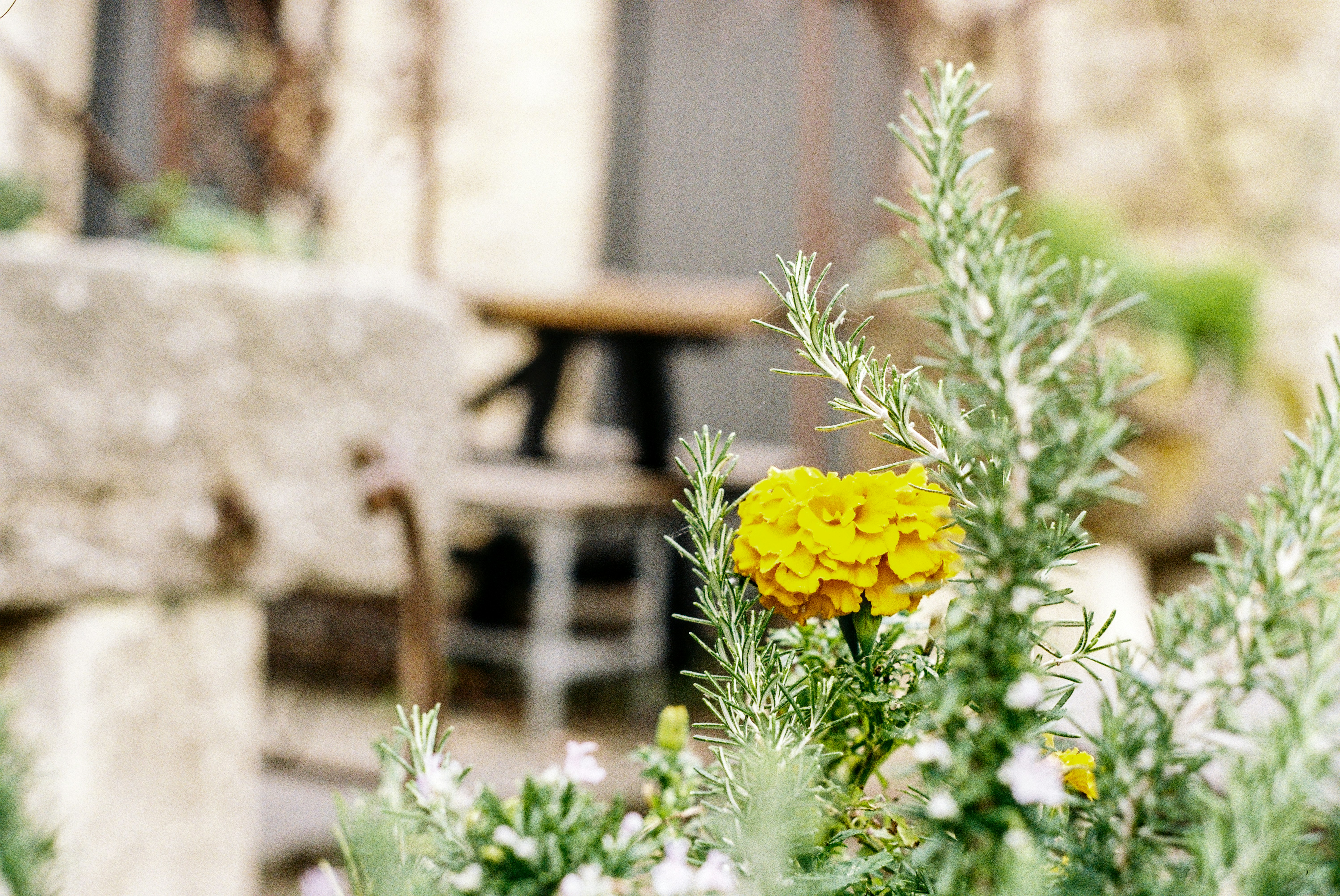 Photo by alexanderpharwood