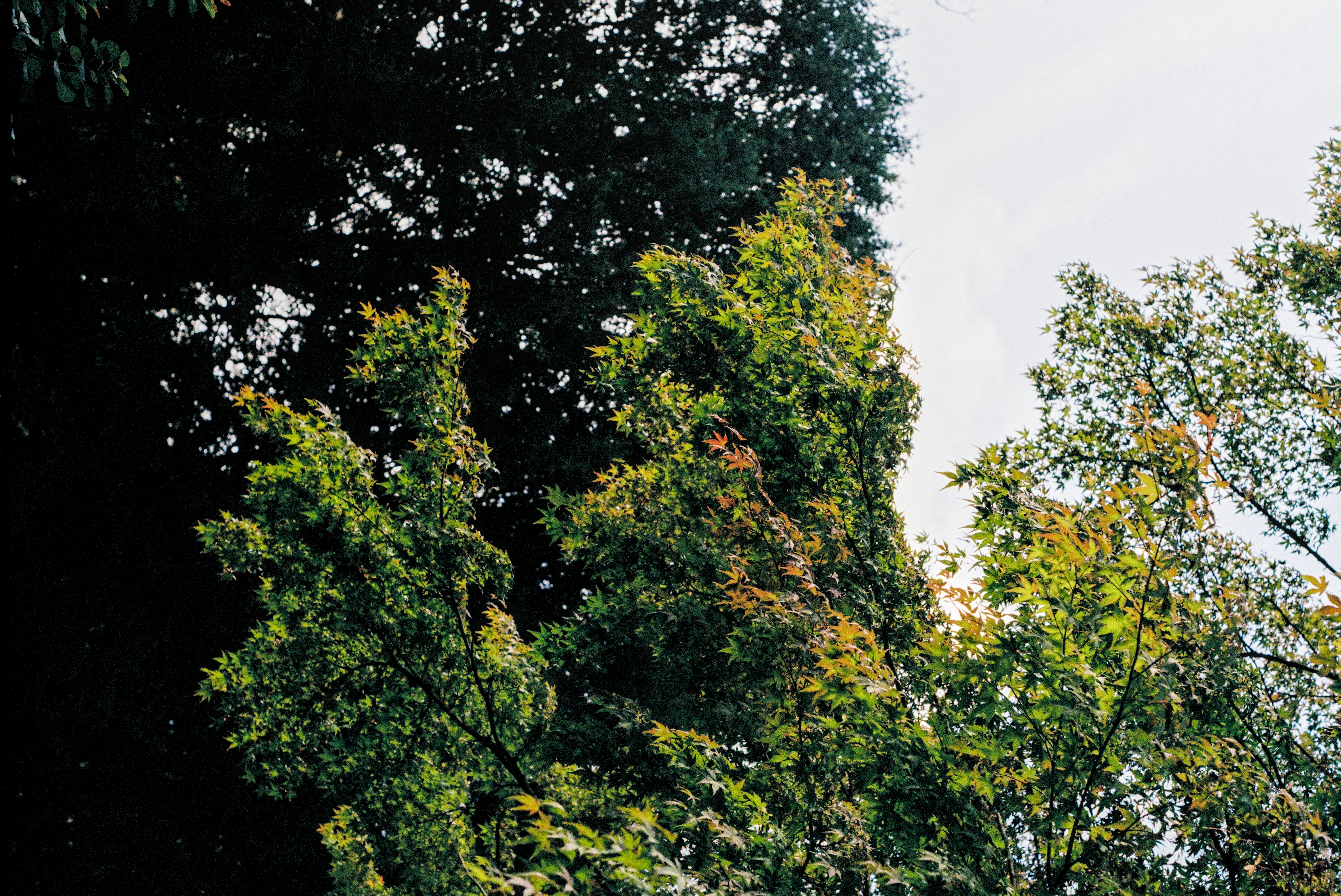 Photo by alexanderpharwood