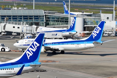Planes with ana logo at an airport terminal.