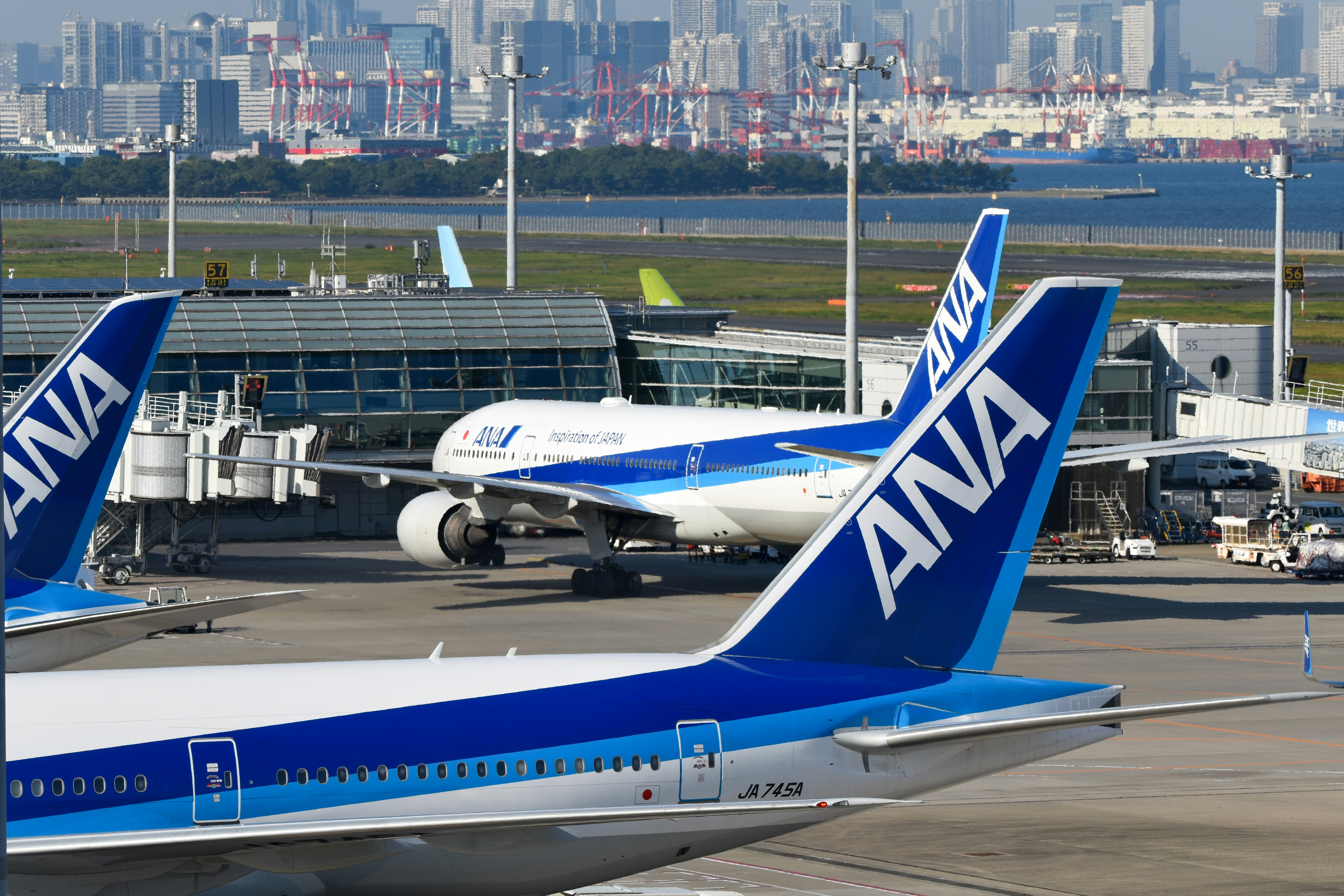Airplanes parked at an airport terminal.
