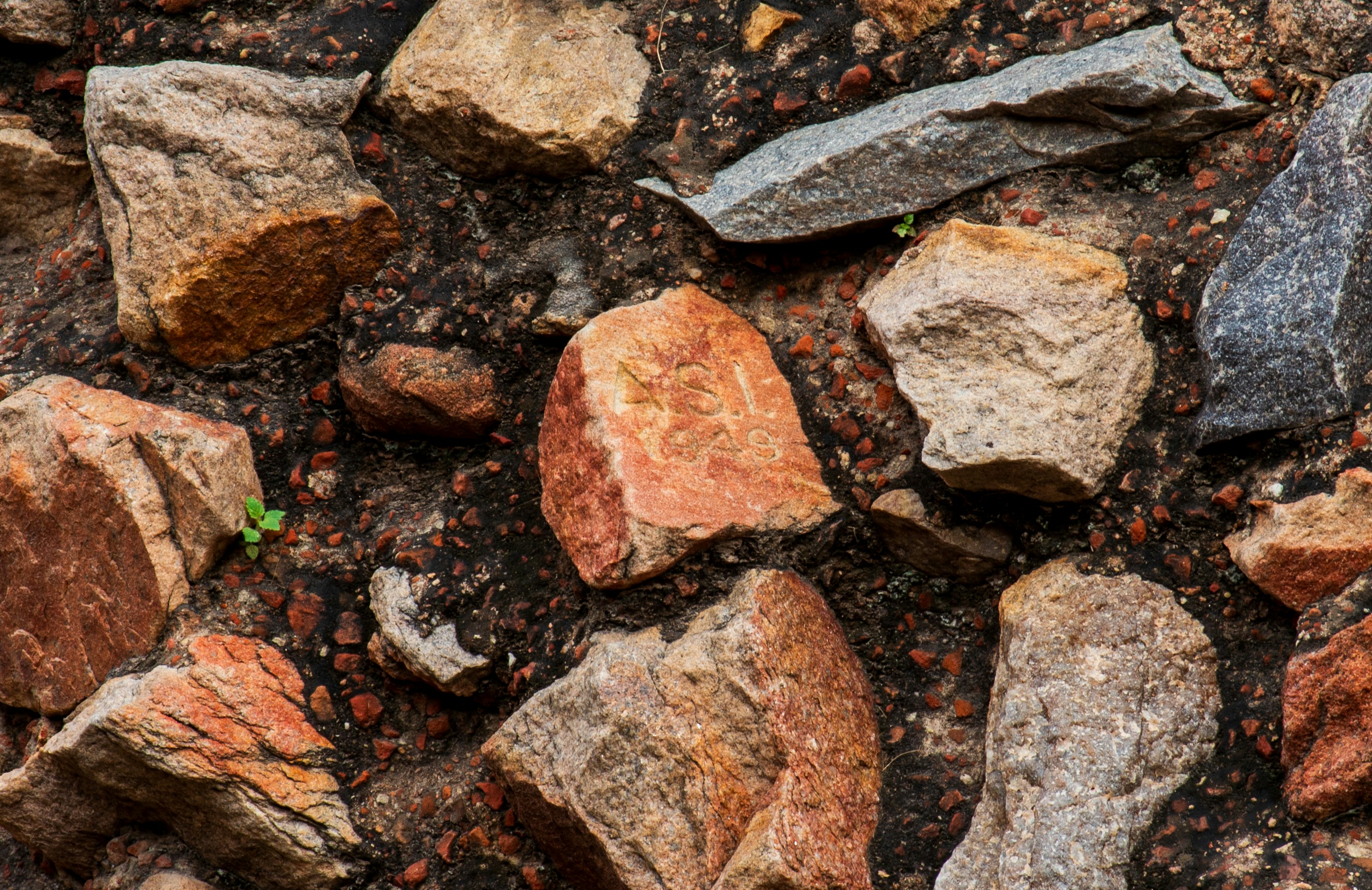 Photo by zoshuacolah