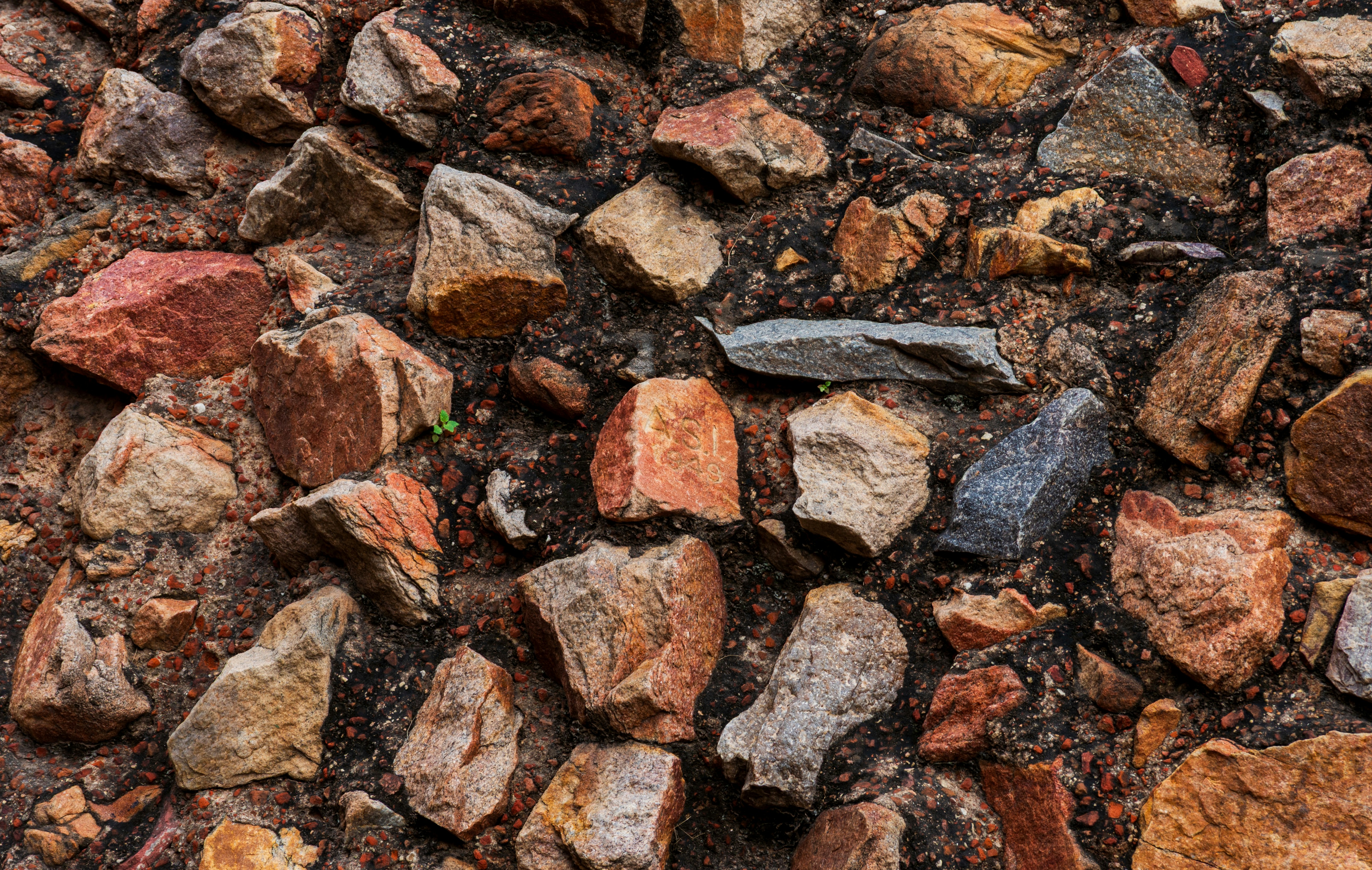 Photo by zoshuacolah