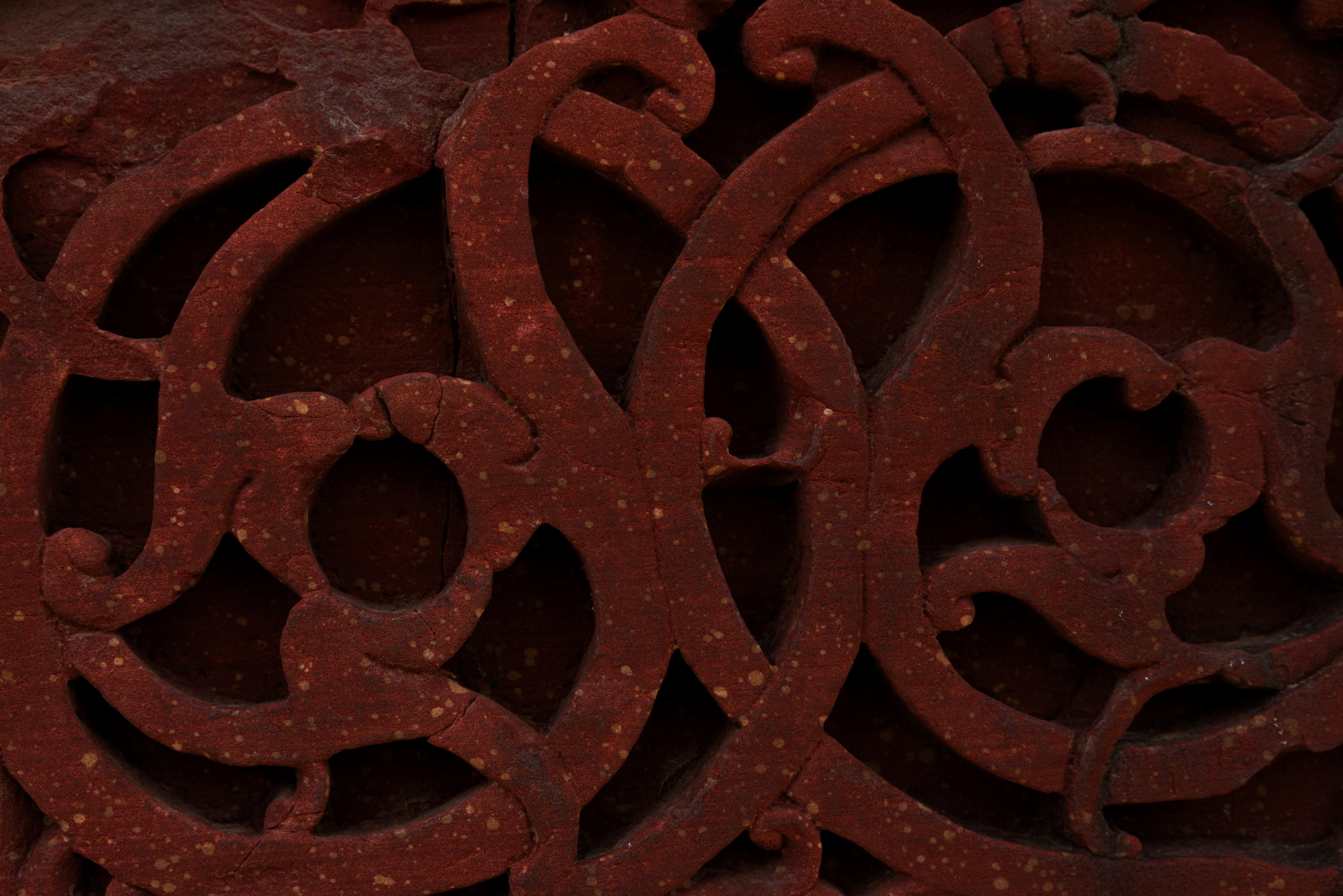 Photo by zoshuacolah