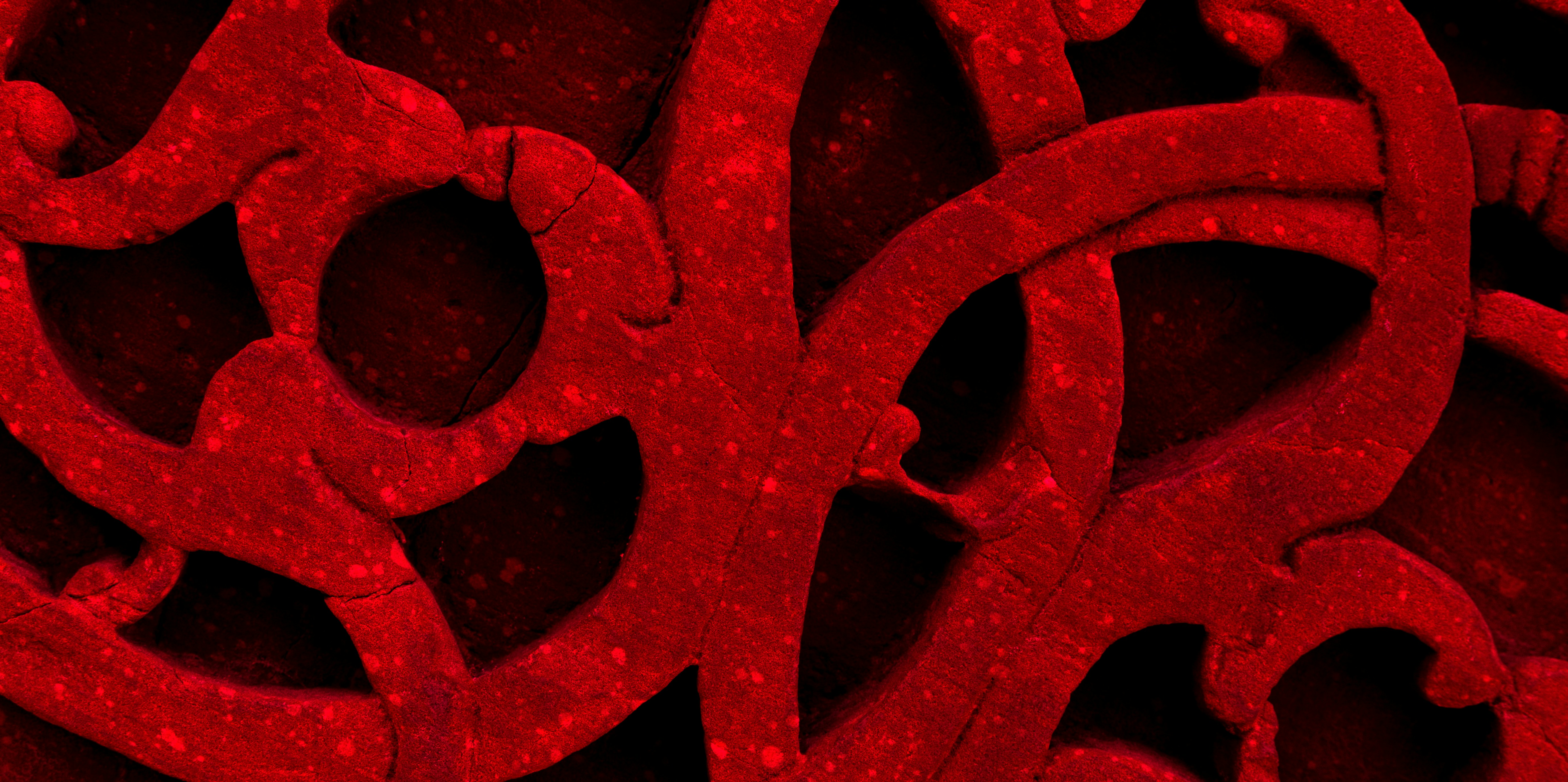 photo-1762648917725-2caaa8370ba4?ixid=M3wxMjA3fDB8MXxzZWFyY2h8Nnx8Y2QlMjBwcm9qZWt0JTIwcmVkJTIwc2VxdWVsfGVufDB8fHx8MTc2NTI5NDk4OXww\u0026ixlib=rb-4.1.0