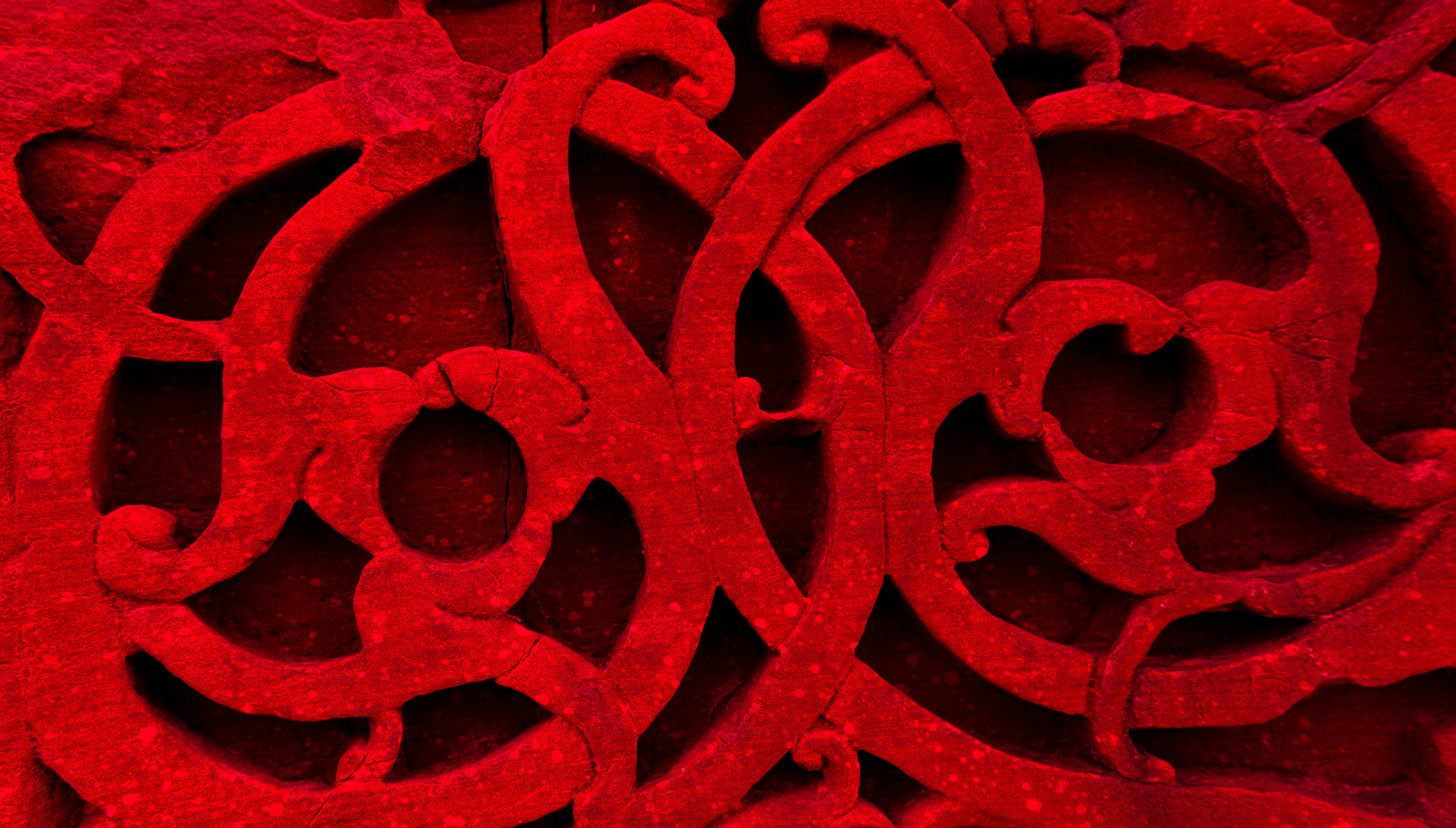 Photo by zoshuacolah