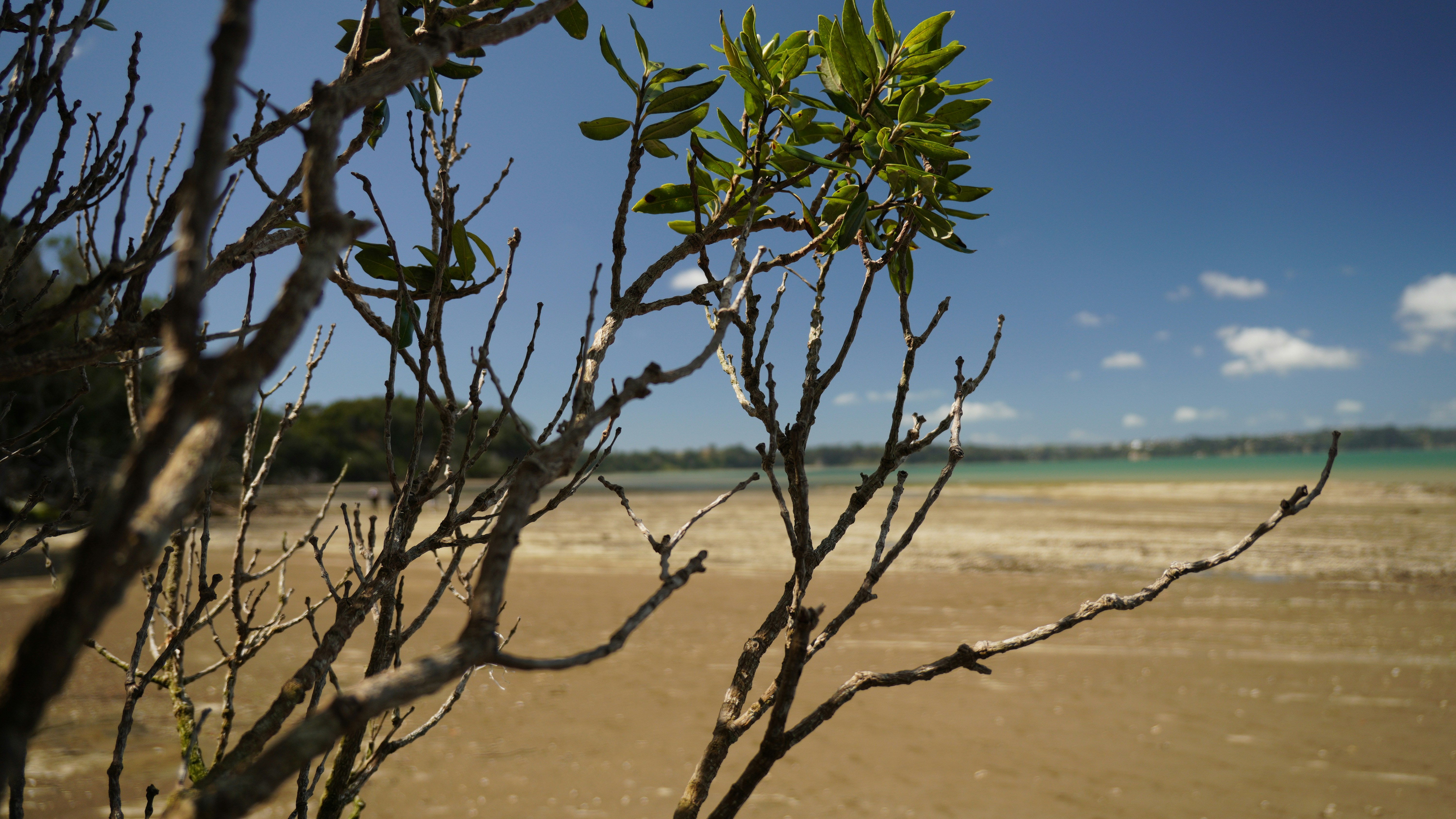 Photo by marygonzales