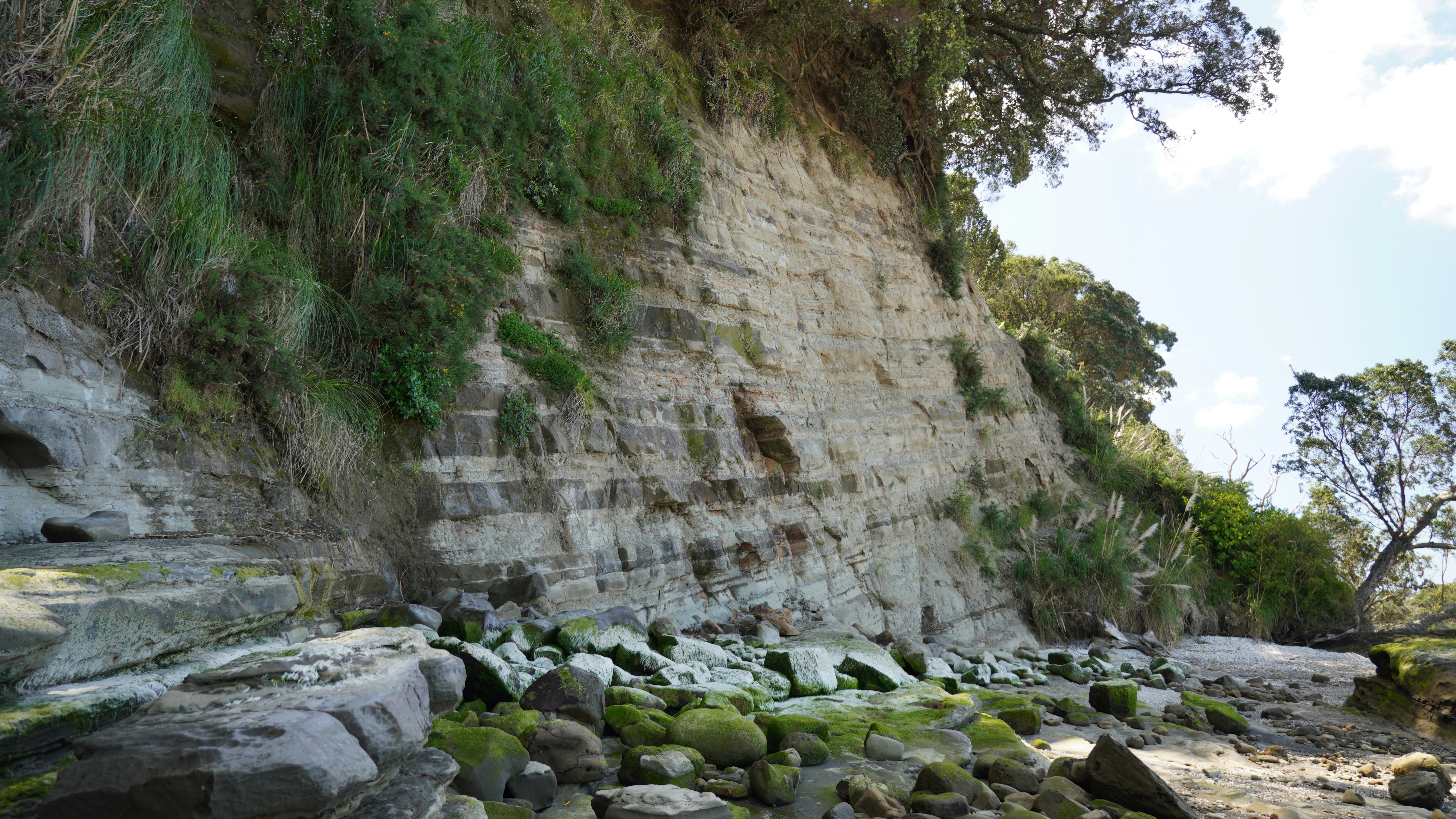 Photo by marygonzales