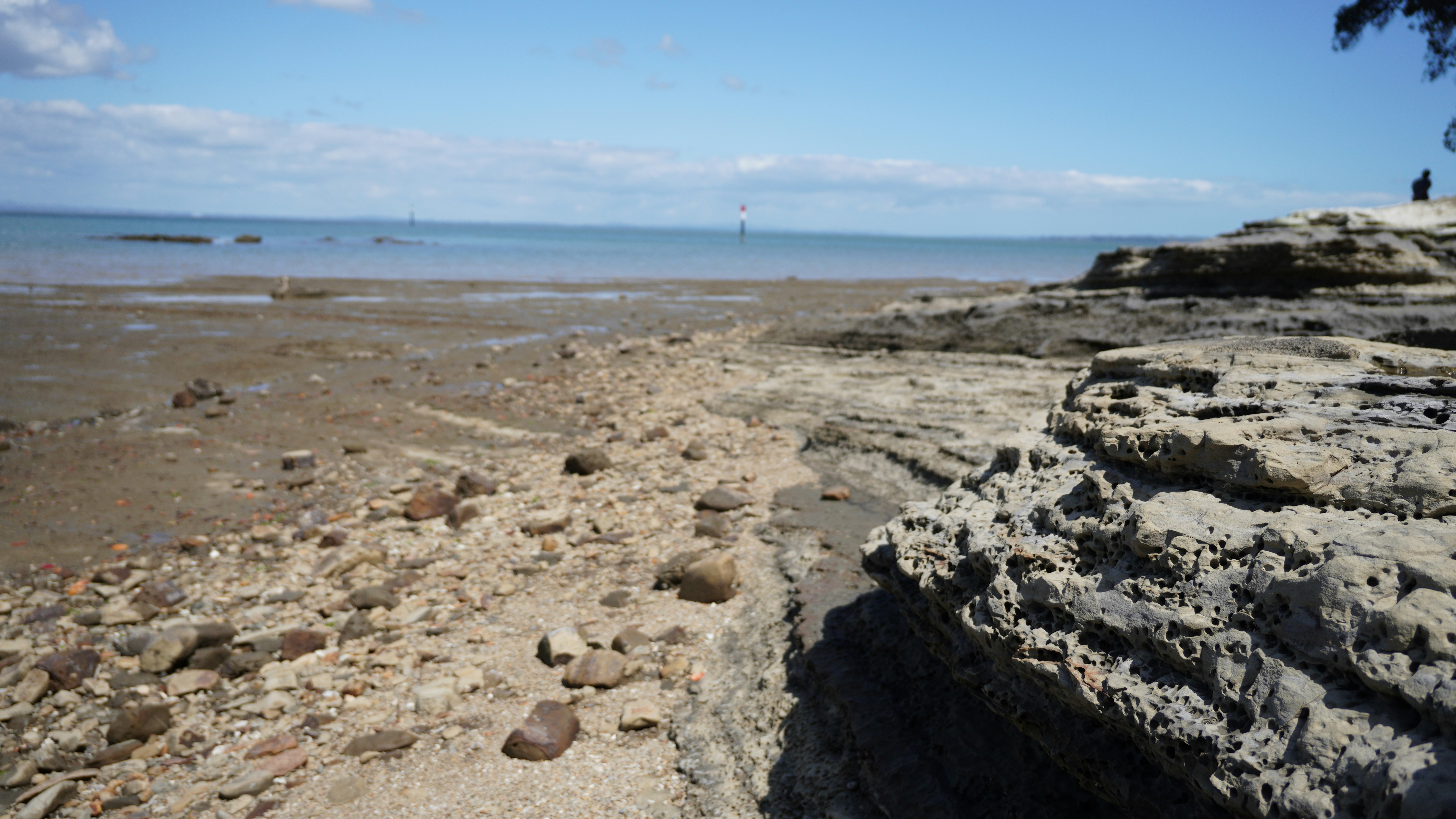 Windley Key Fossil Reef Geological State Park