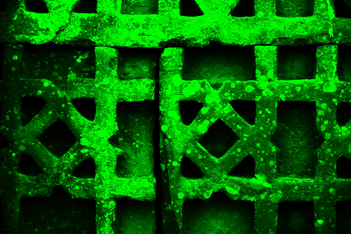Geometric lattice grill