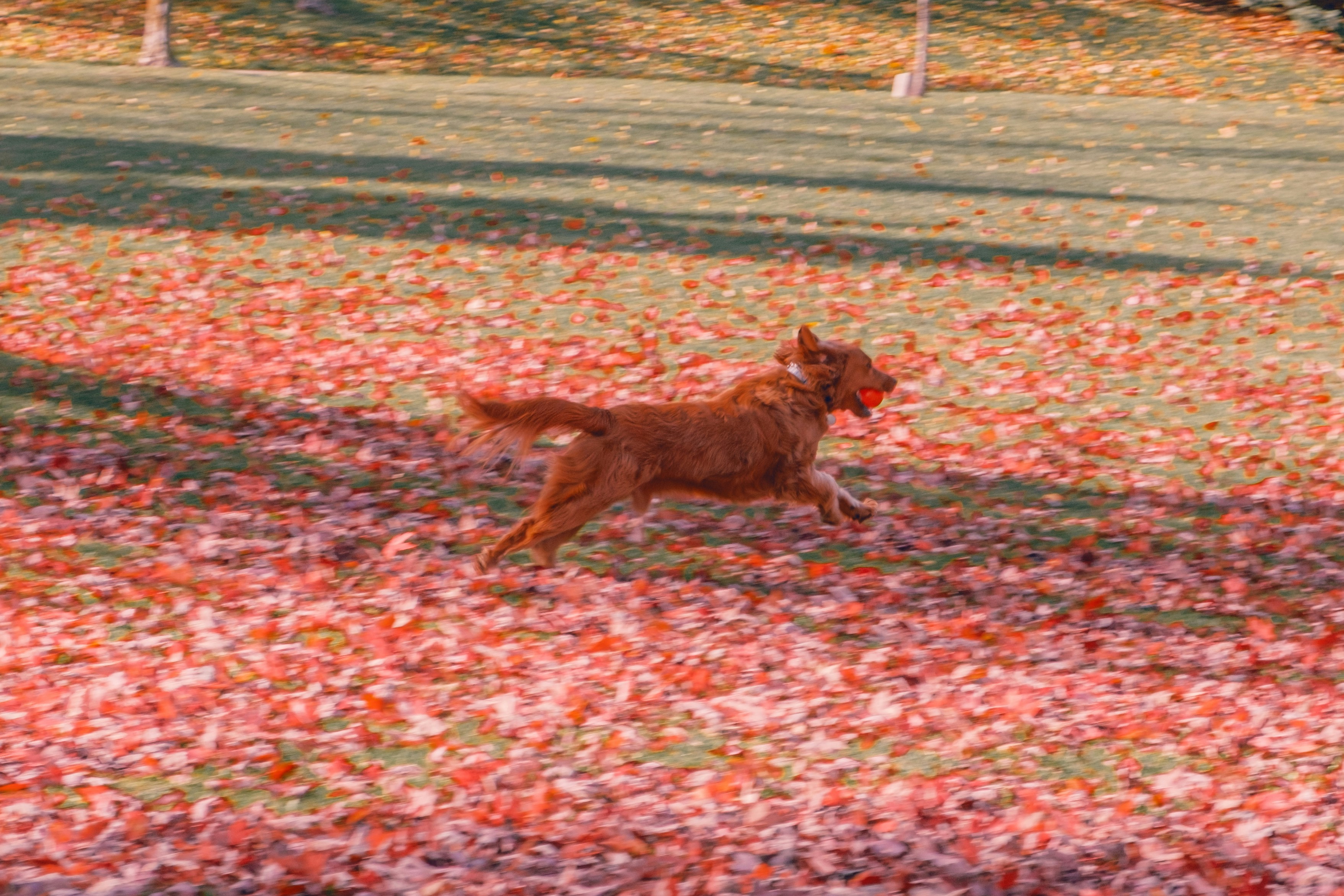 Weekend Hustle Playbook: Monetizing Micro‑Trips and Mini‑Events for Creators in 2026