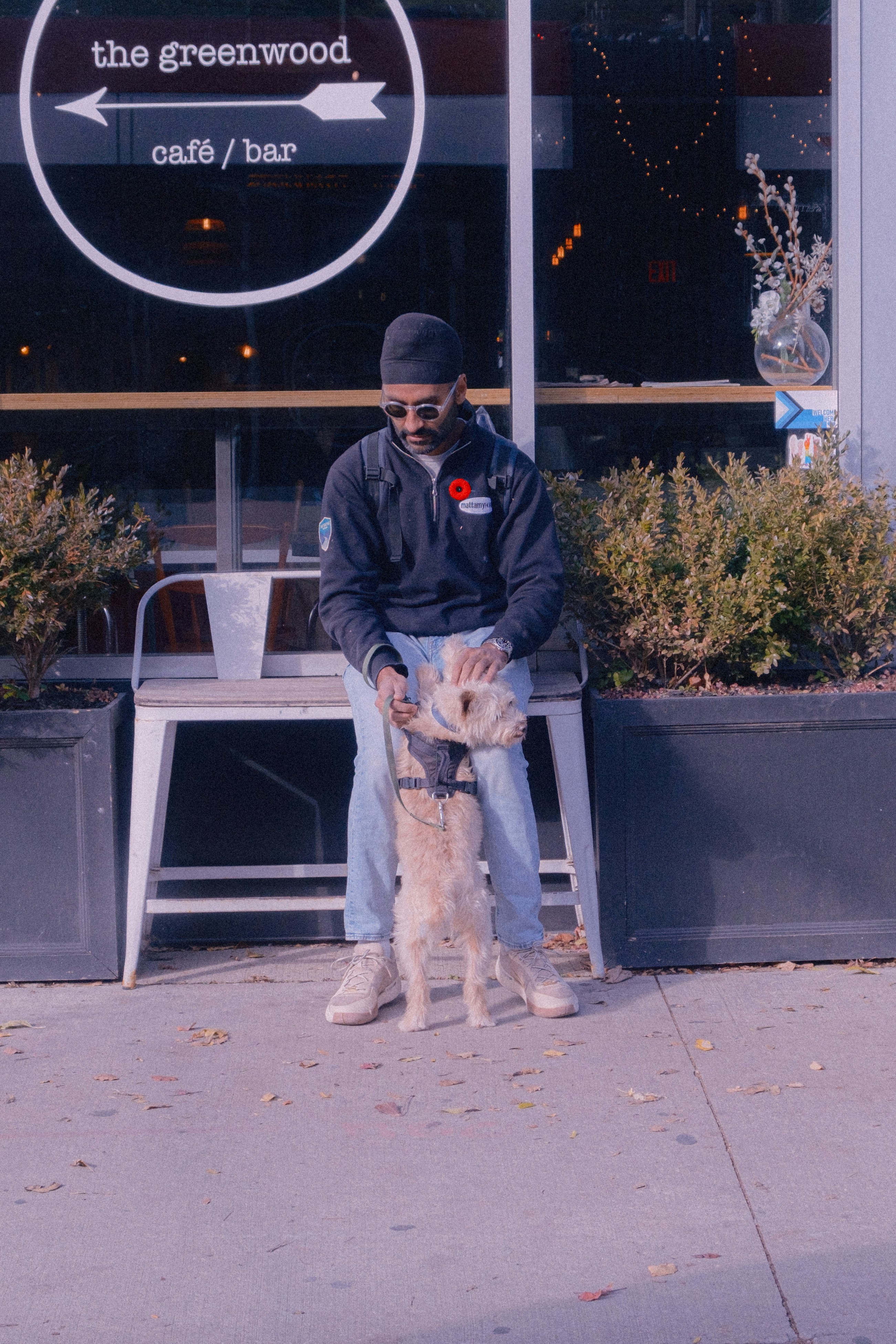 dog friendly cafe