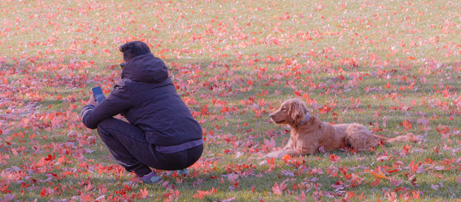A person crouching down with their phone to photograph their dog from multiple angles outdoors