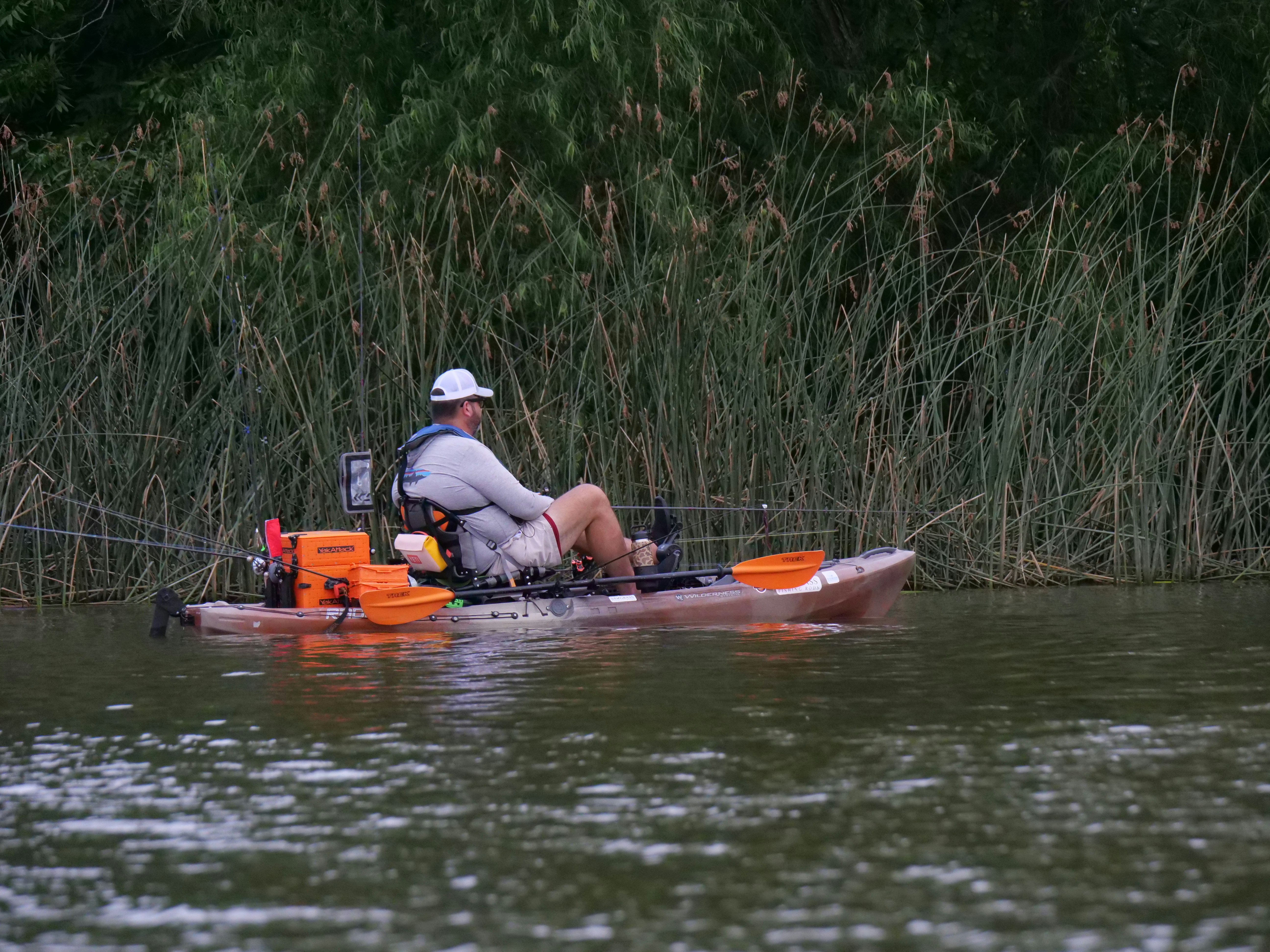 Man fishing from a kayak near reeds