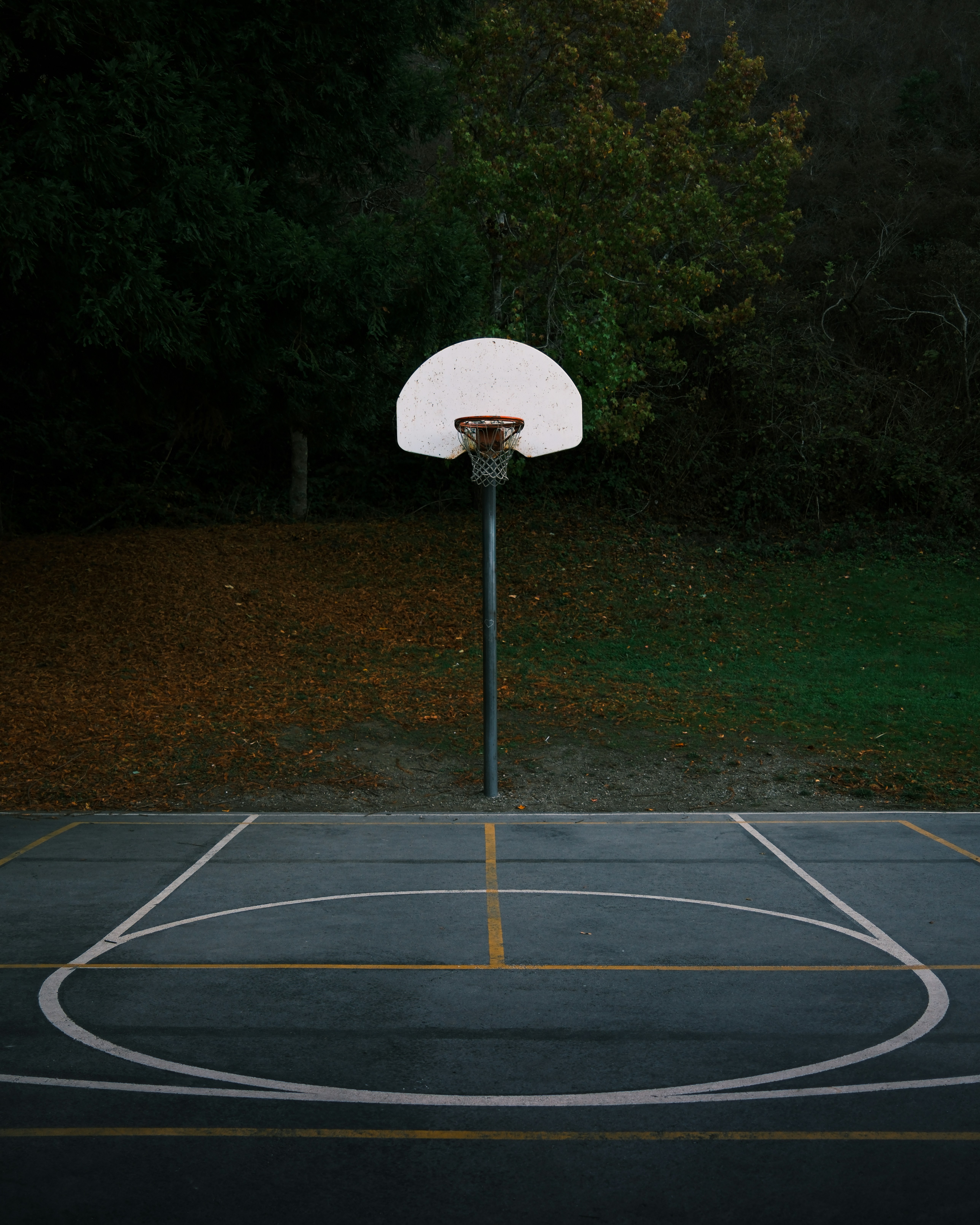 Photo by kalaniparker