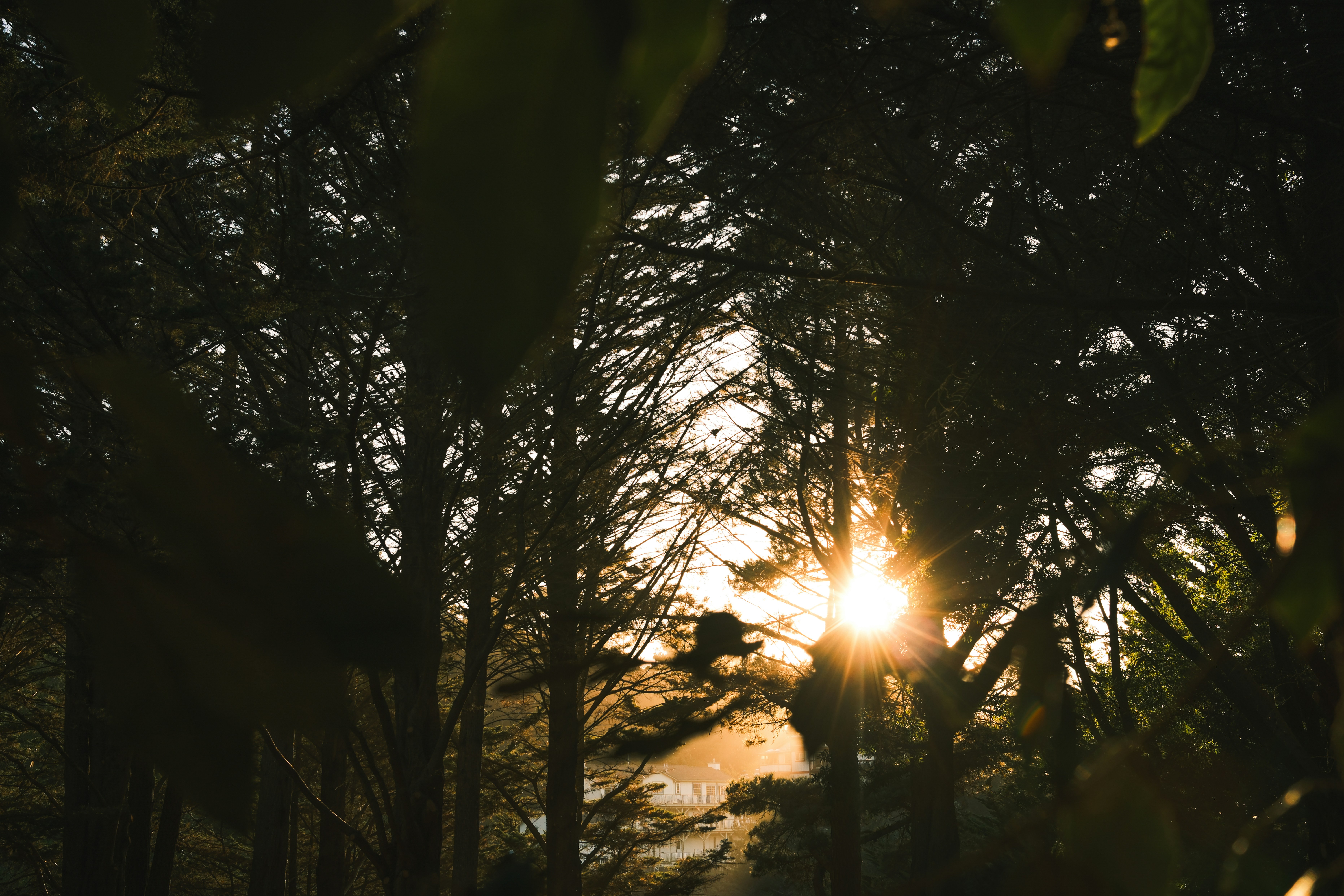 Photo by kalaniparker