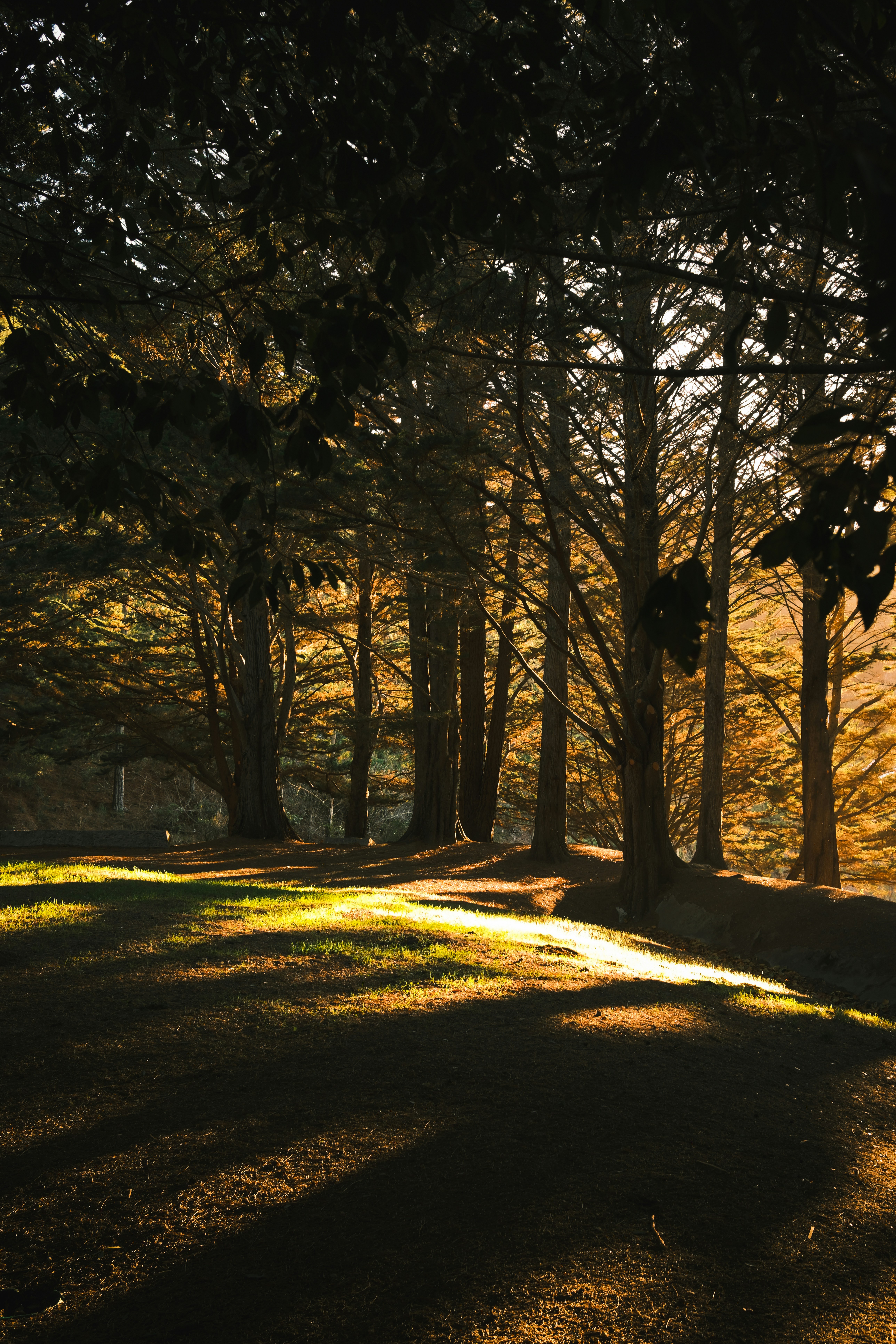 Photo by kalaniparker