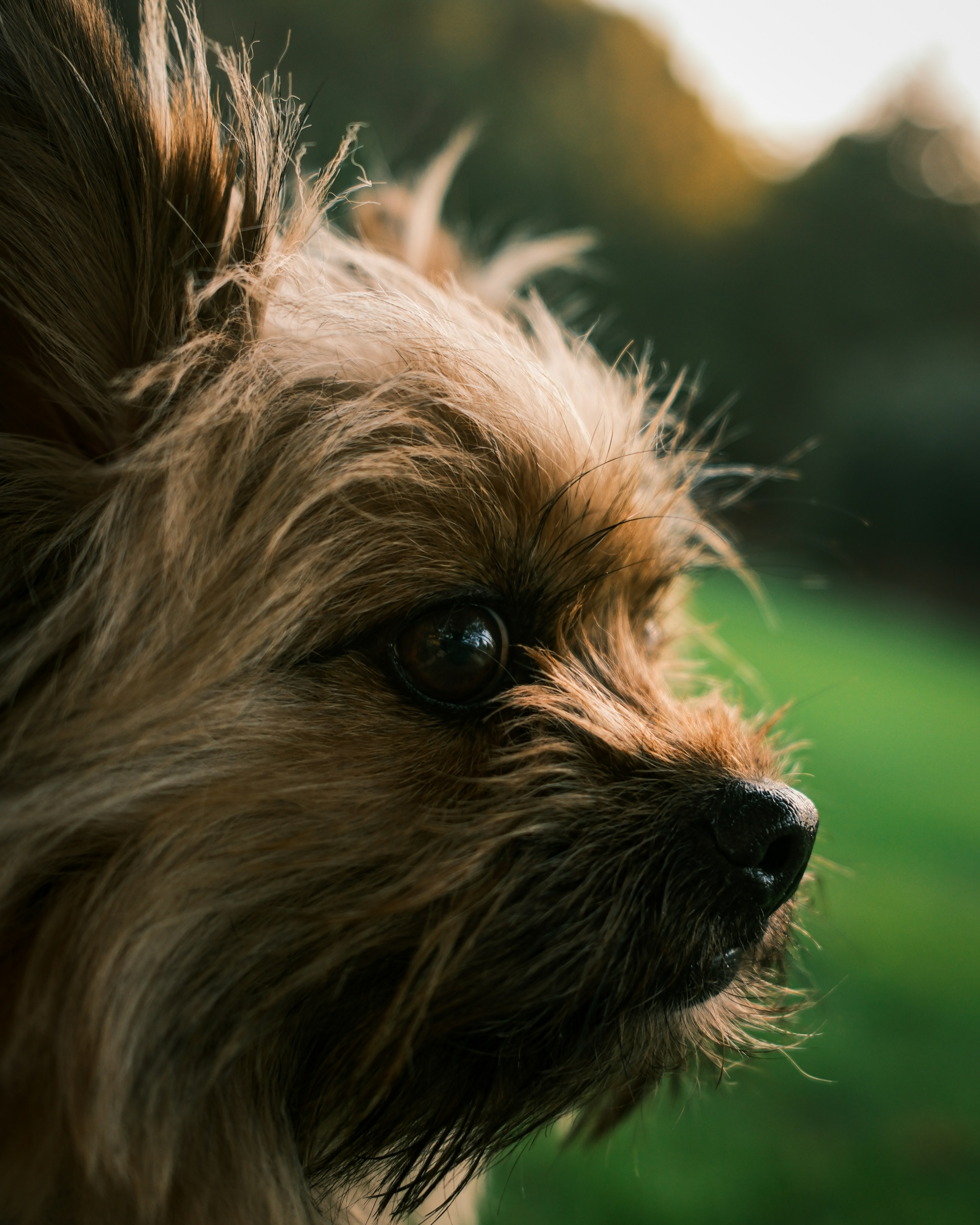 Photo by kalaniparker