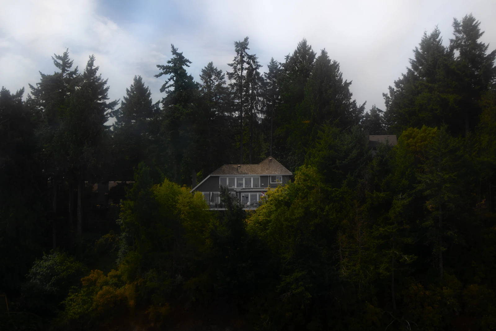 Home Insurance in Nevada County: What Buyers Need to Know About Wildfire Risk Before Making an Offer