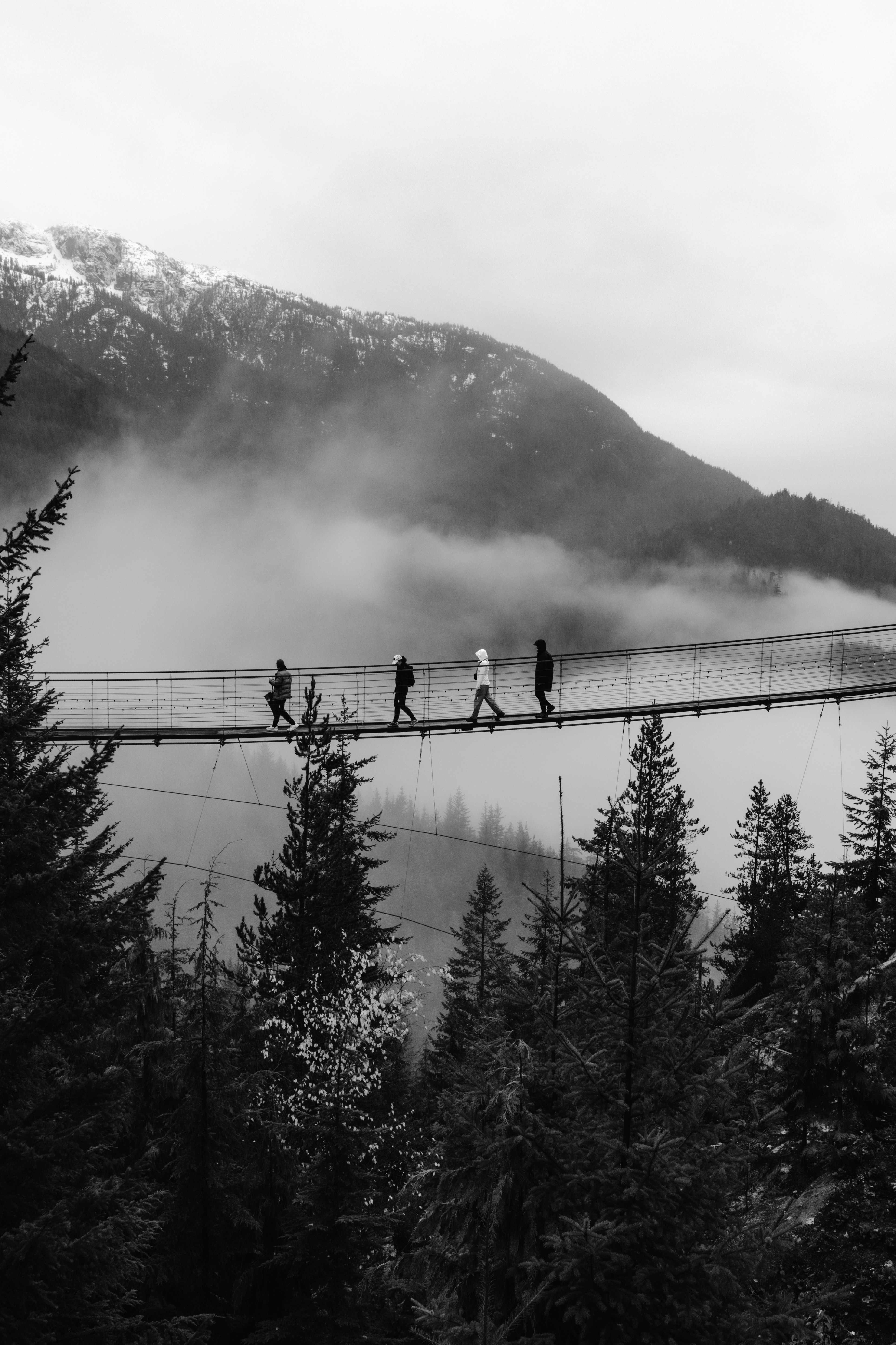 People crossing a suspension bridge in a foggy mountain forest.