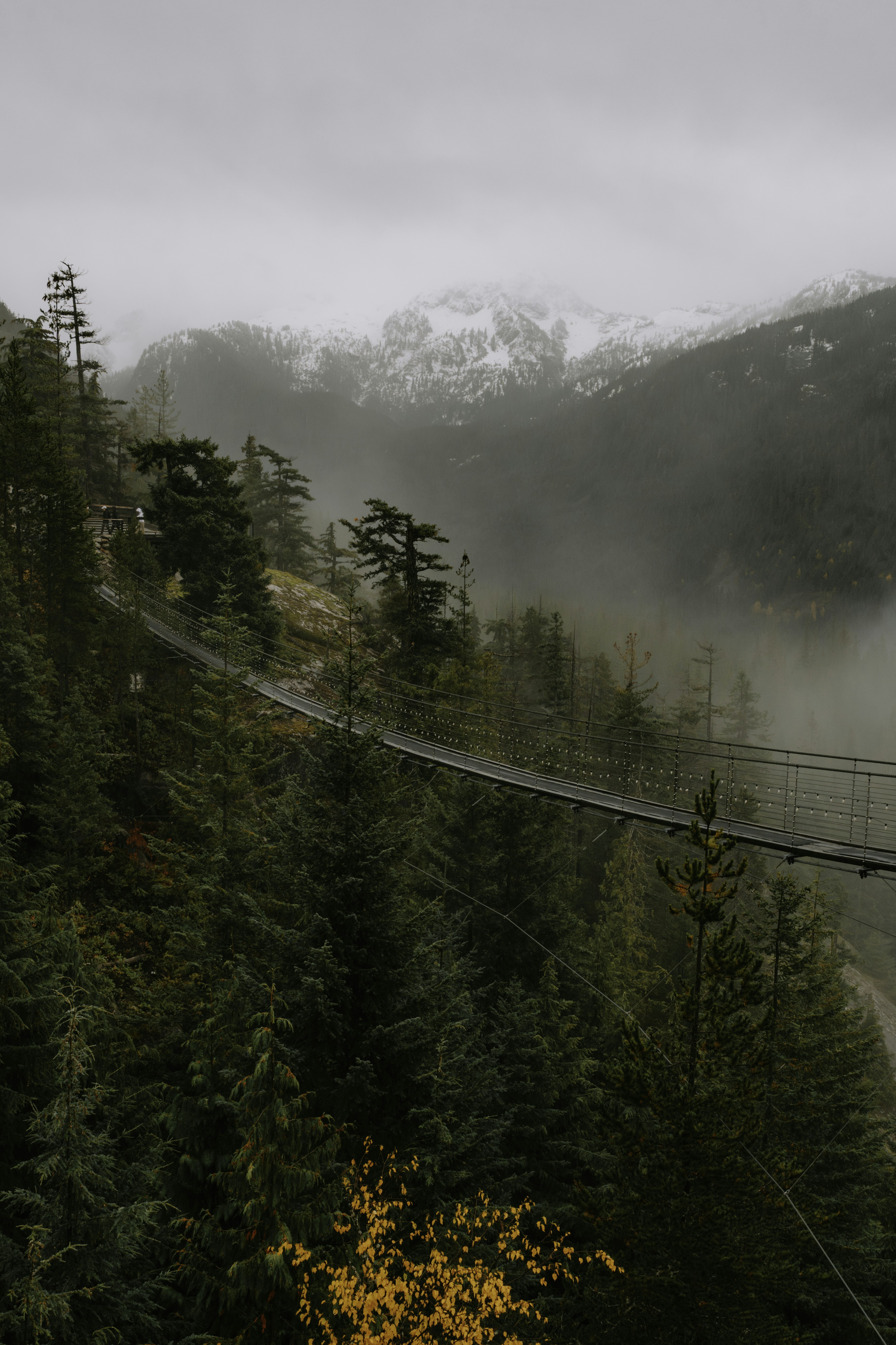Suspension bridge over misty forest with snowy mountains.