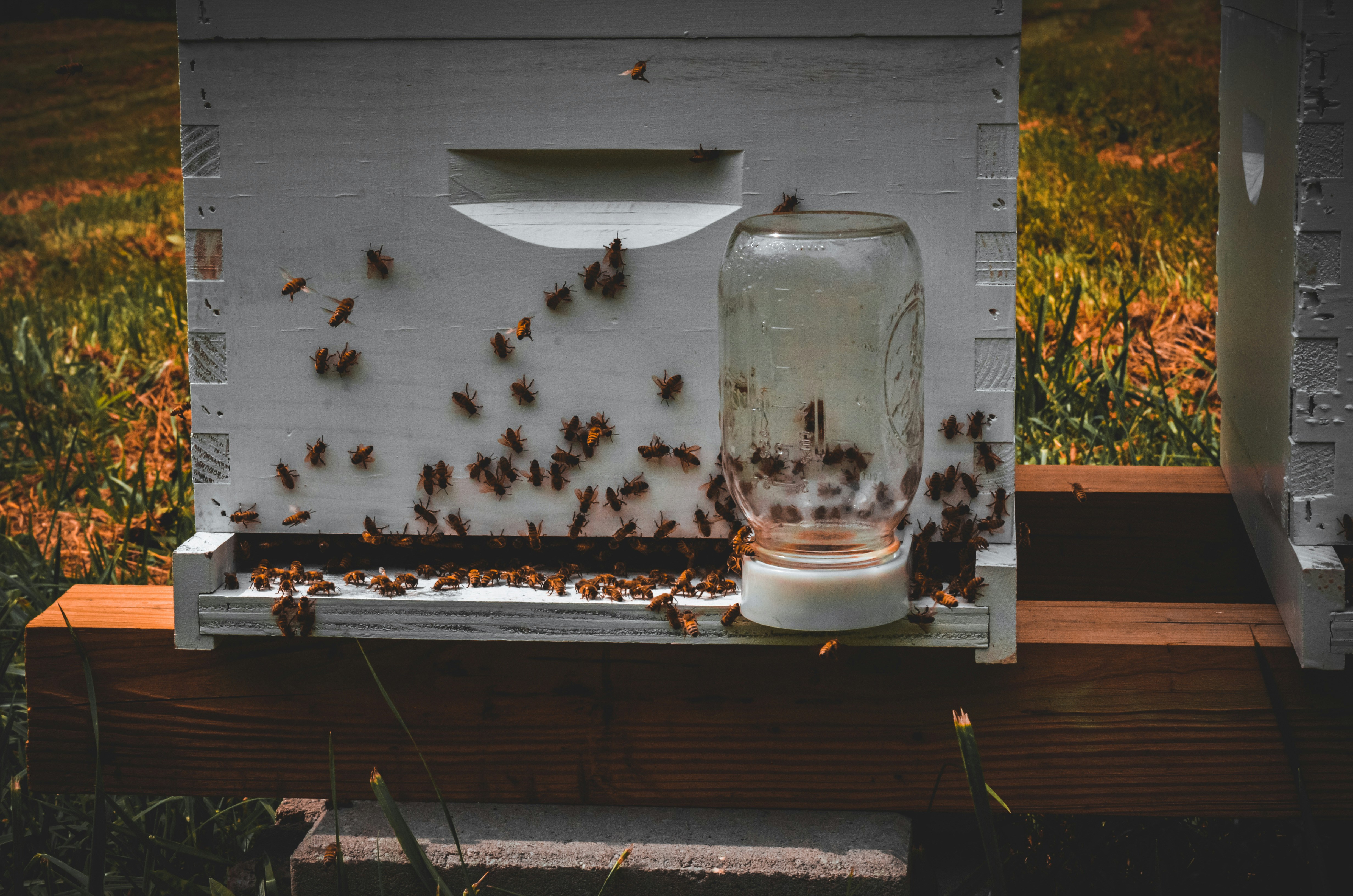 Mitigating Risks of API Misconfigurations: Best Practices for Developers