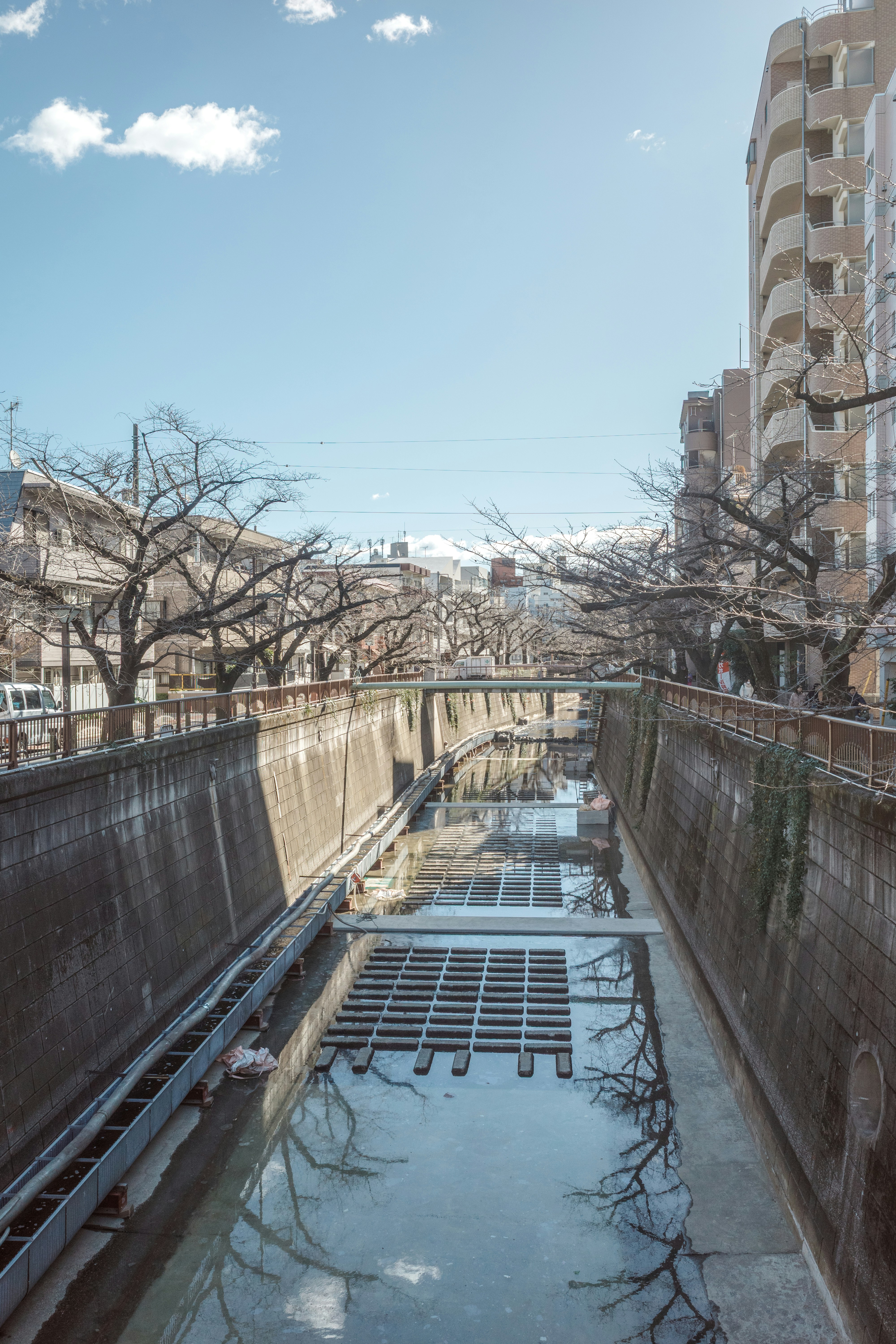Photo by leongsan
