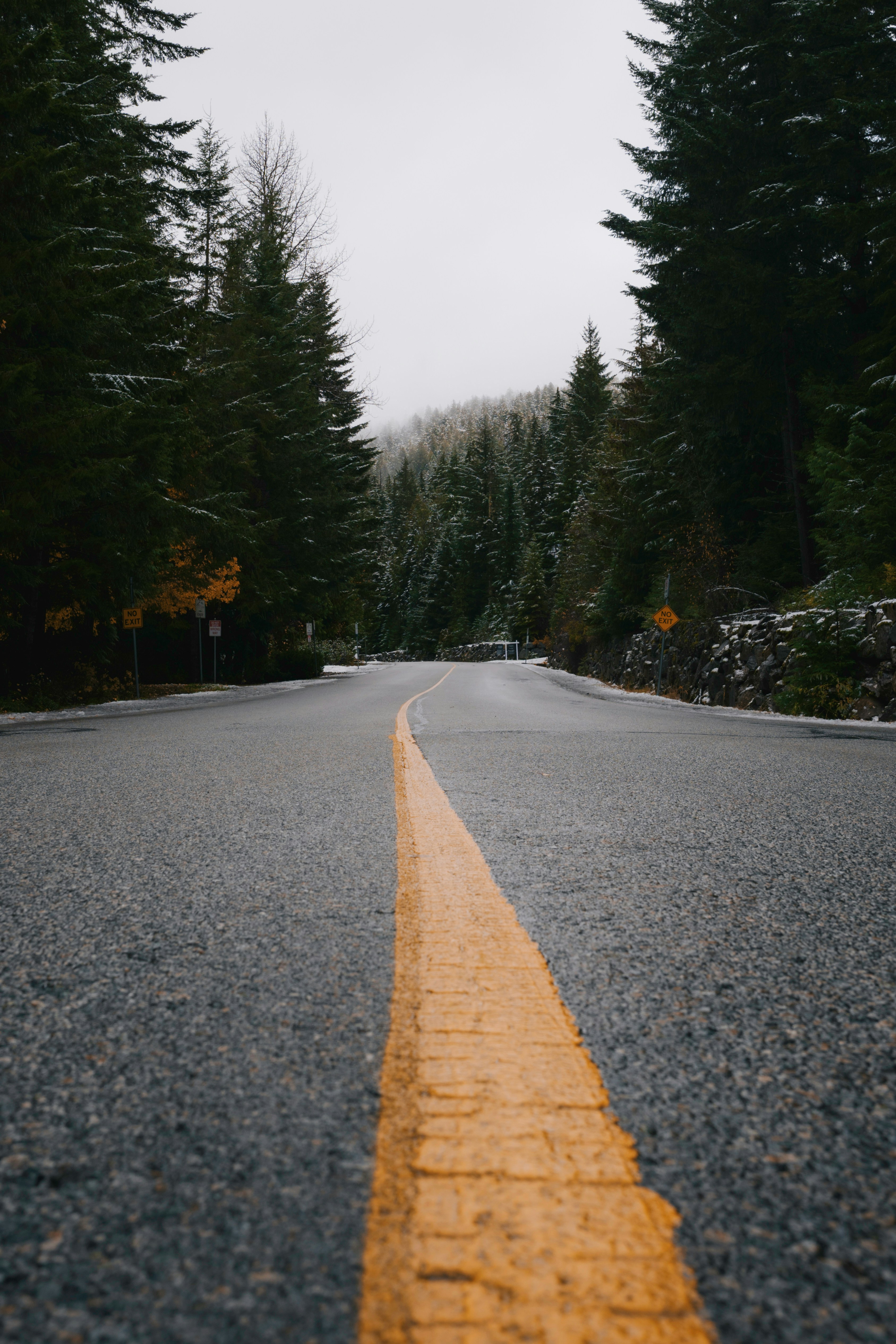 Empty road through a dark, snowy forest