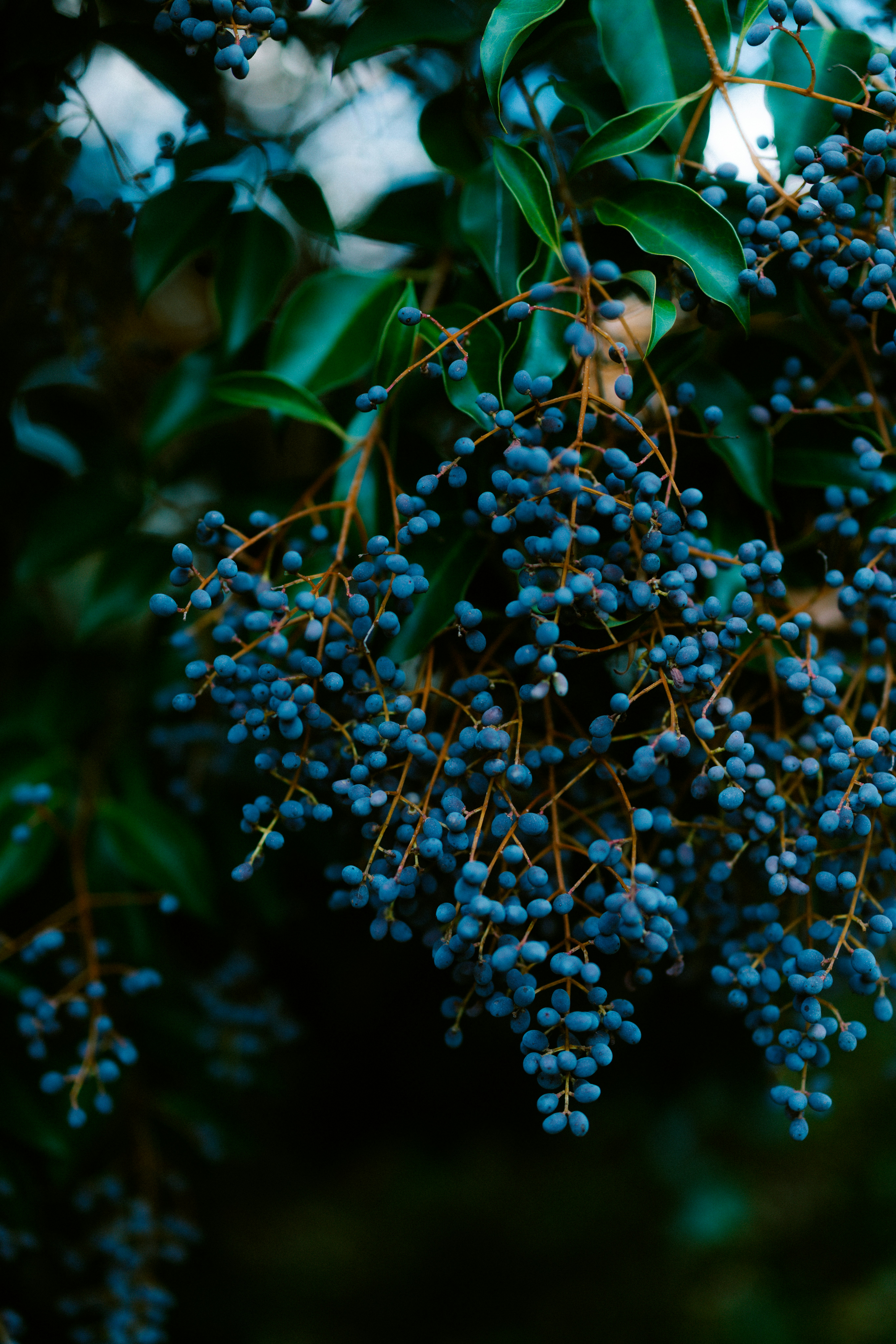 Photo by brookebalentine