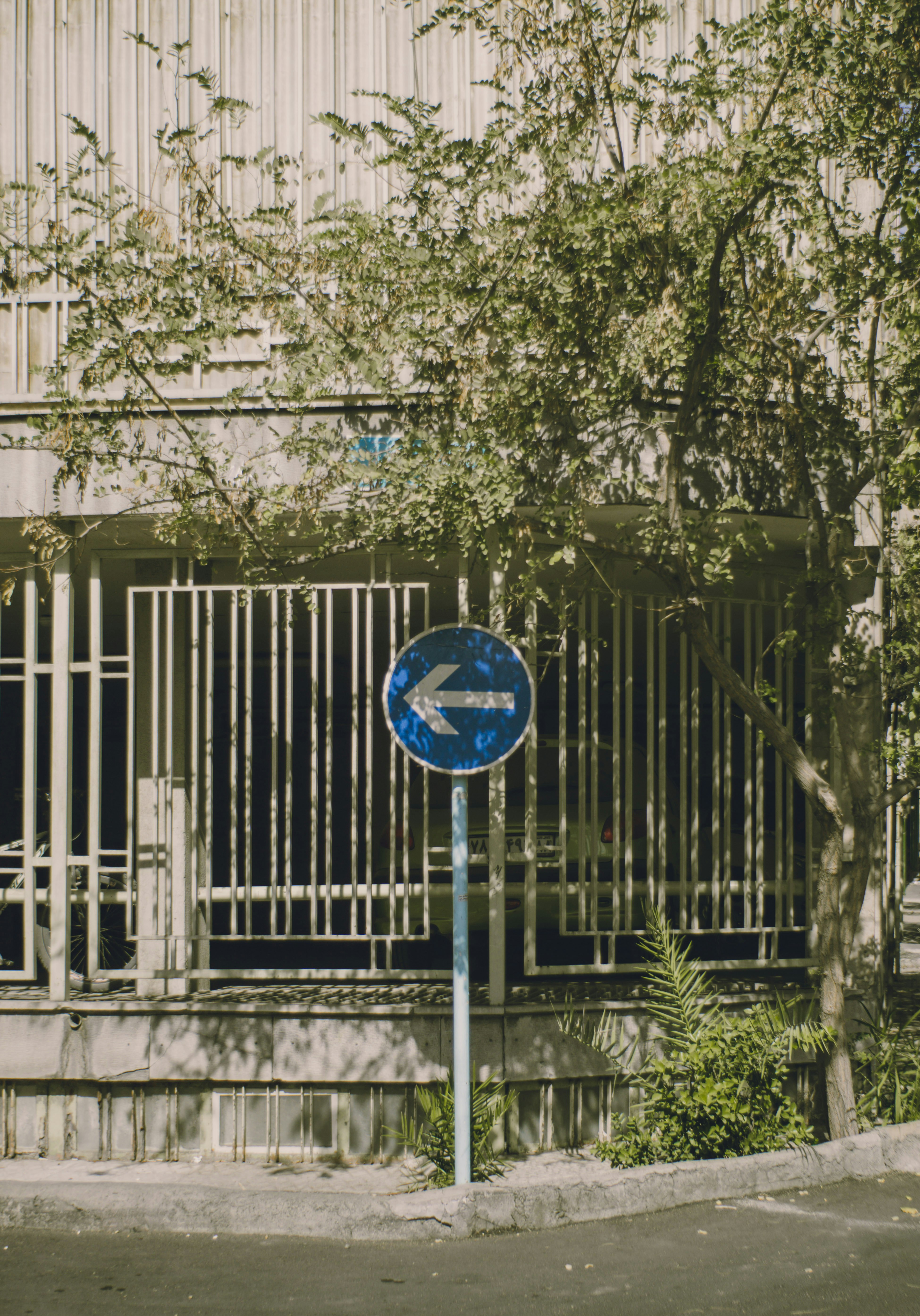 Photo by mdrezajalali