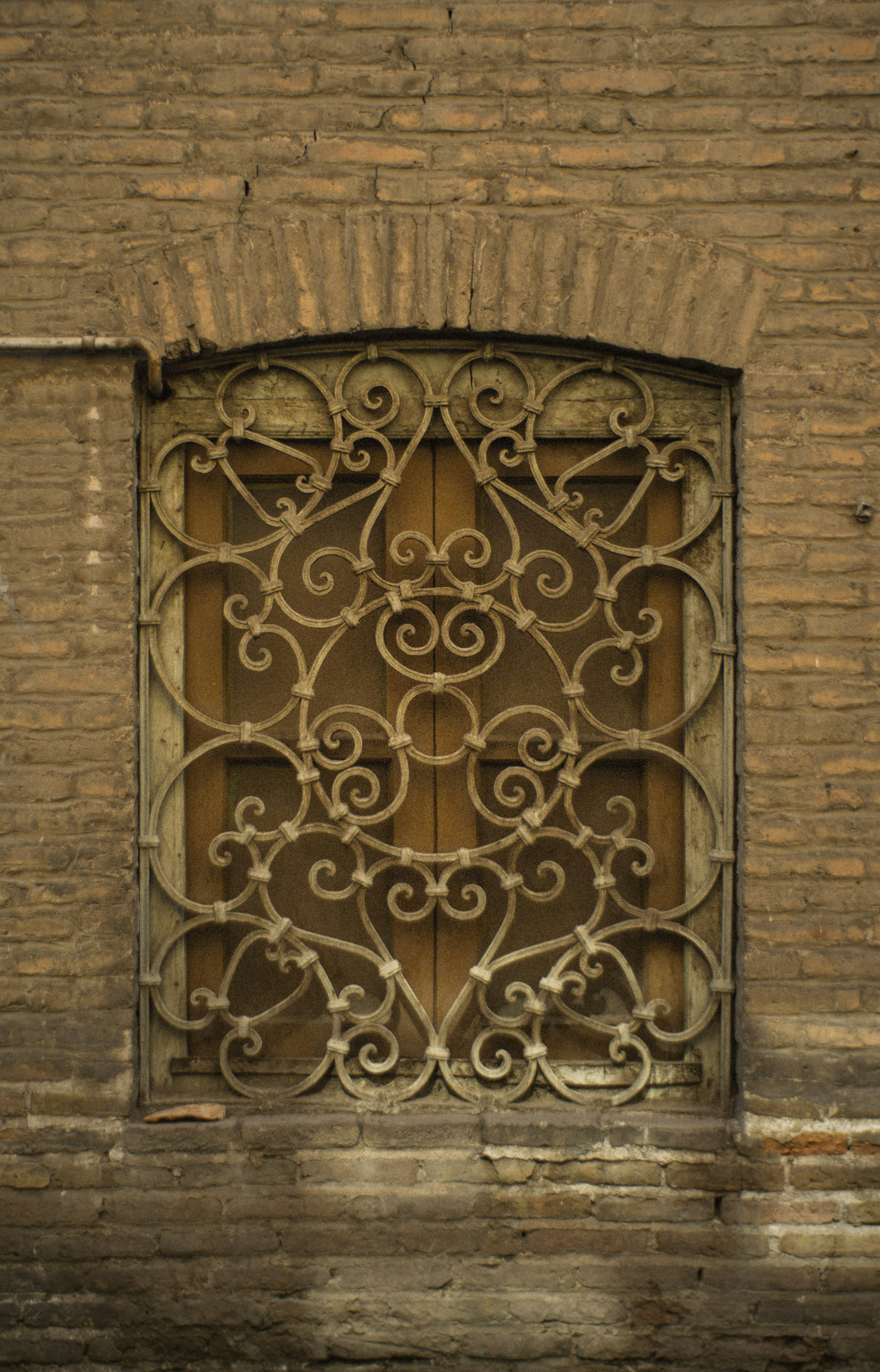 Photo by mdrezajalali