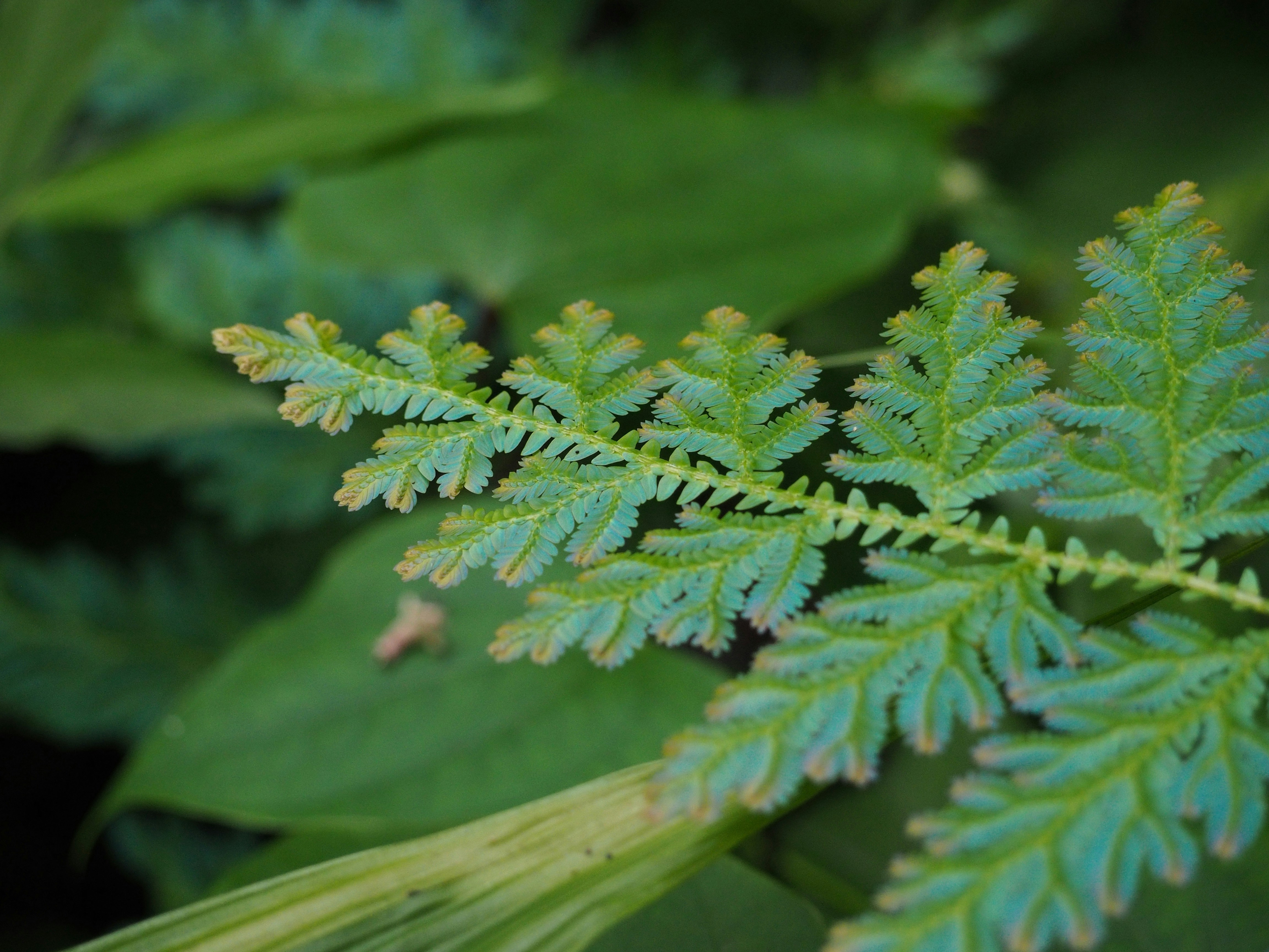 Photo by anna_amelina