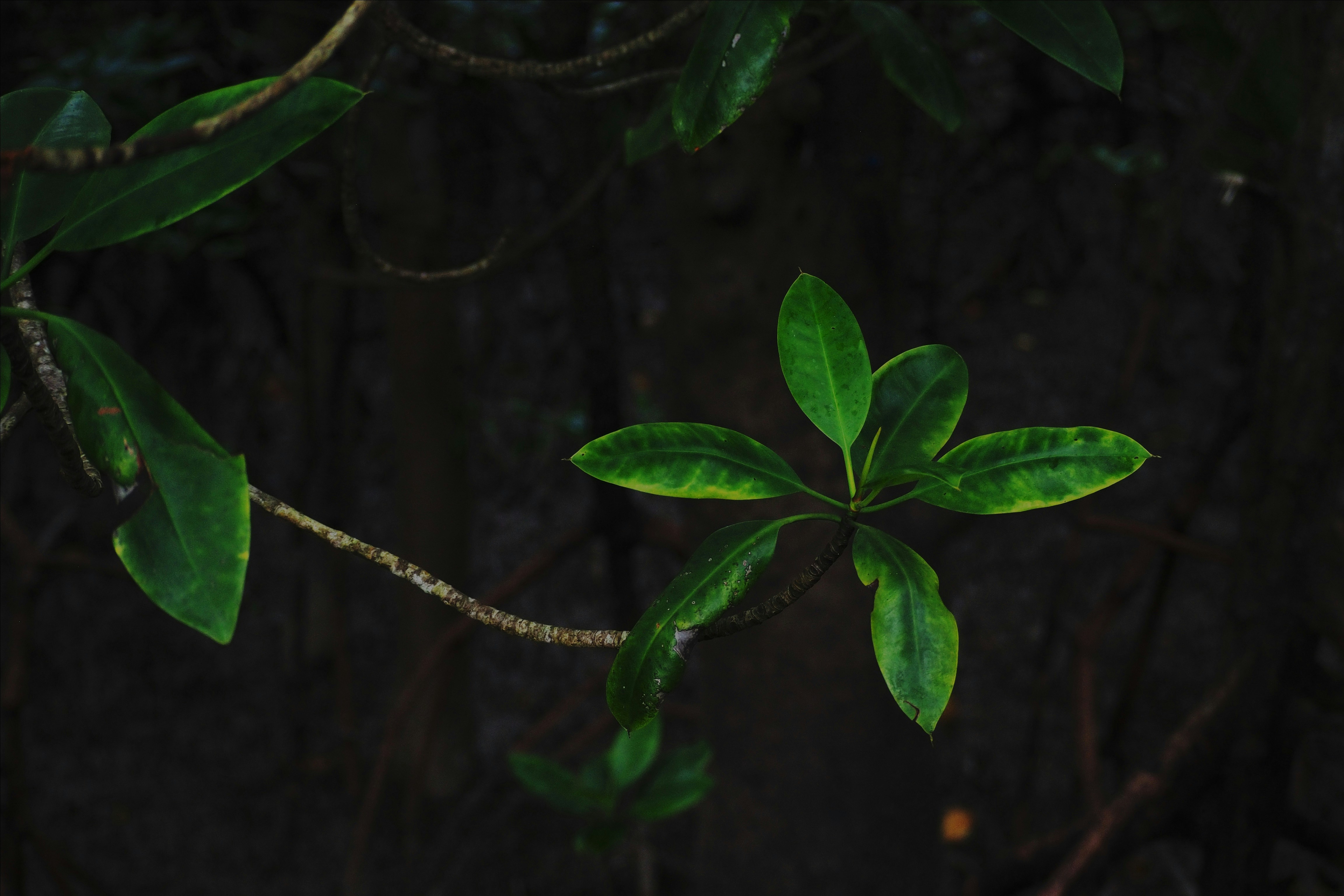 Photo by anna_amelina