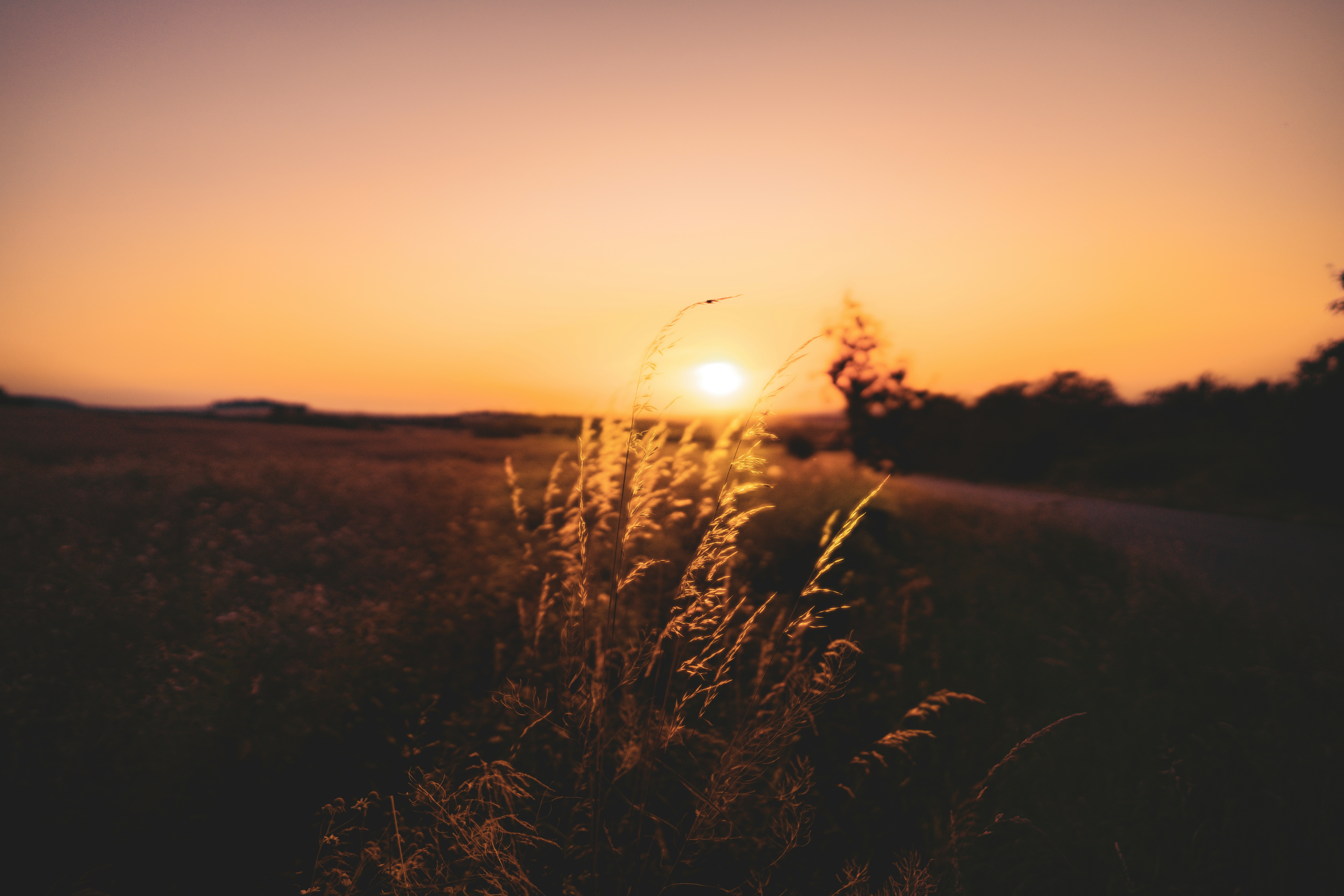 Kutná Hora – Transportation & Getting Around