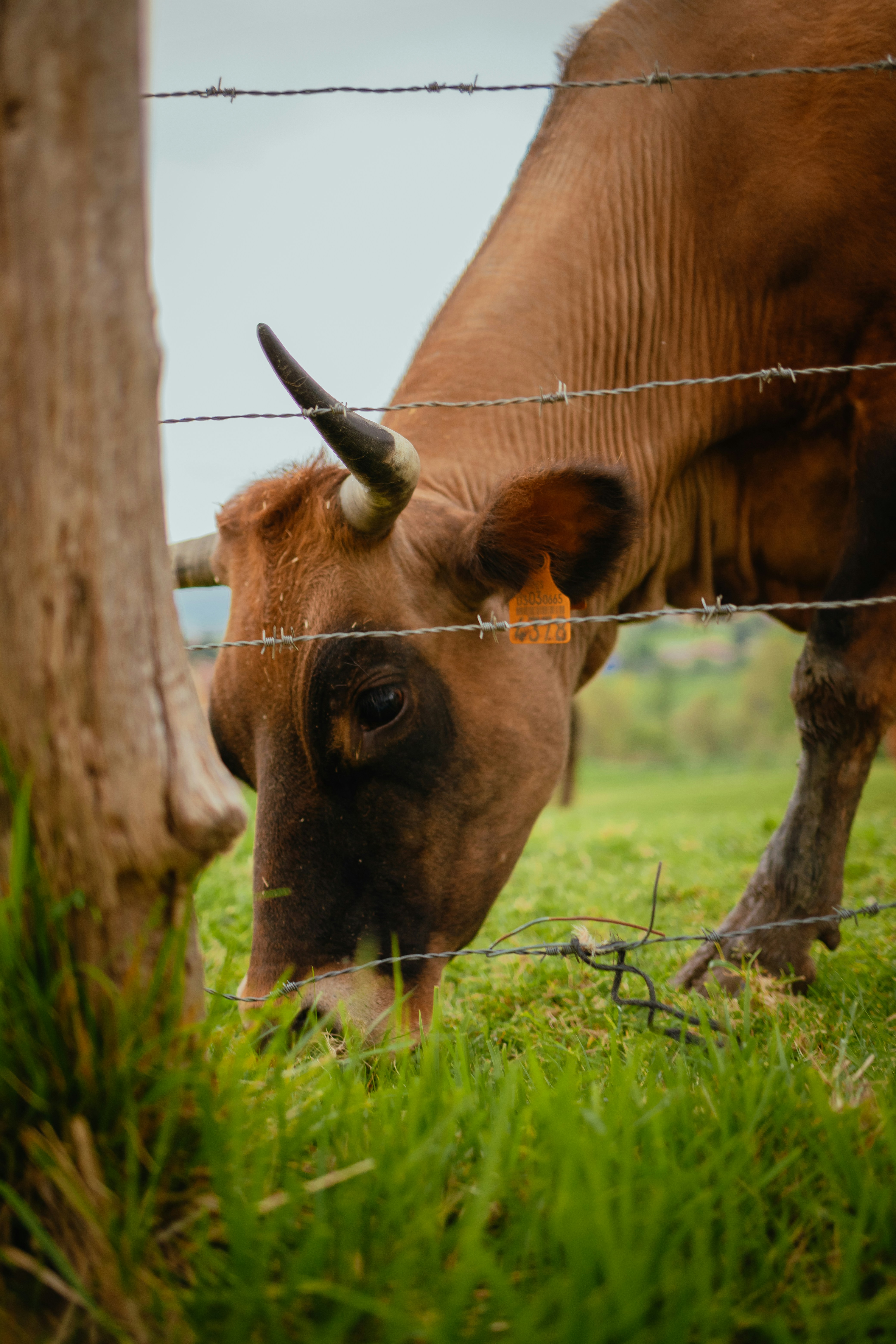 Photo by photocam_est