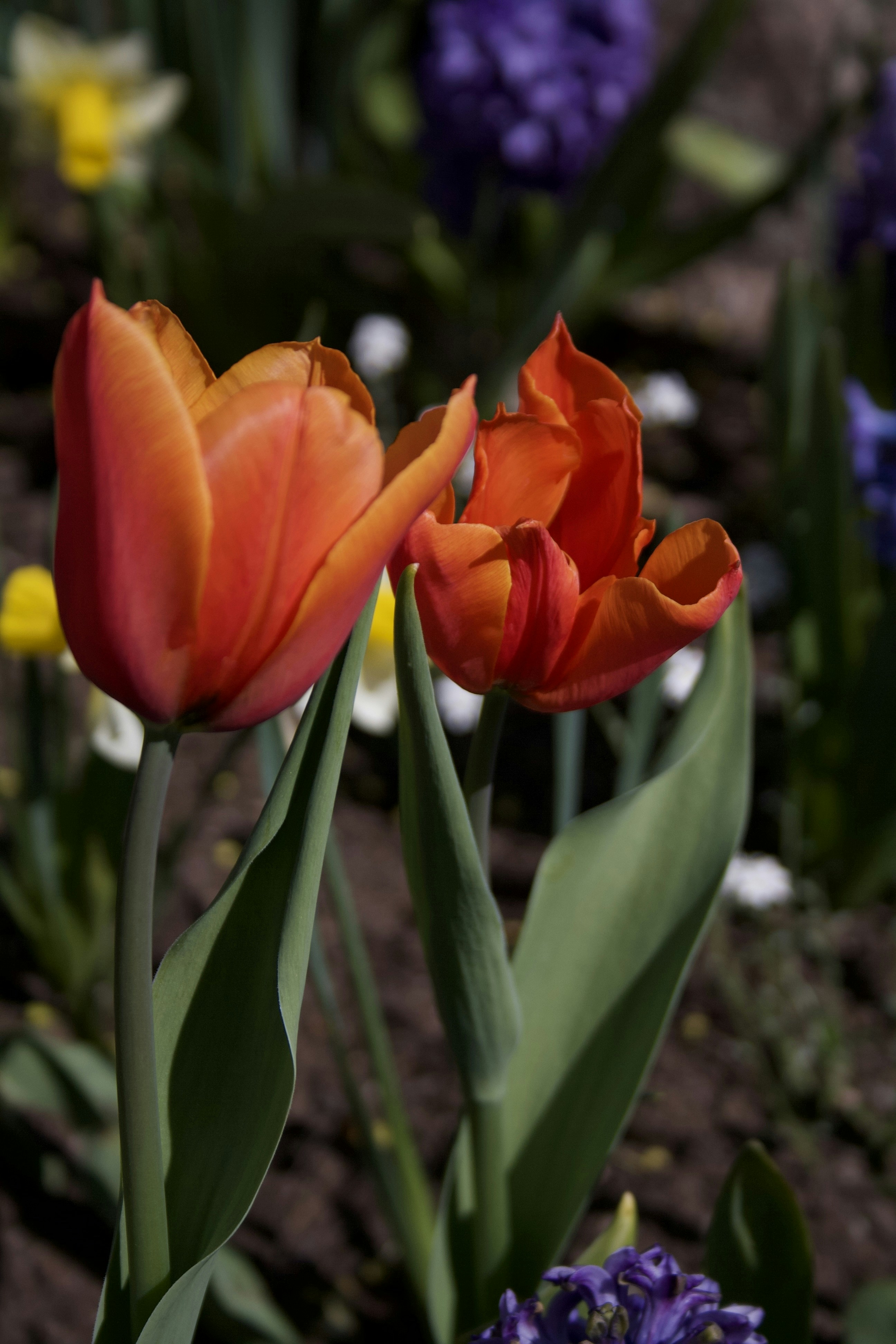 Photo by officiallyamandaaaa