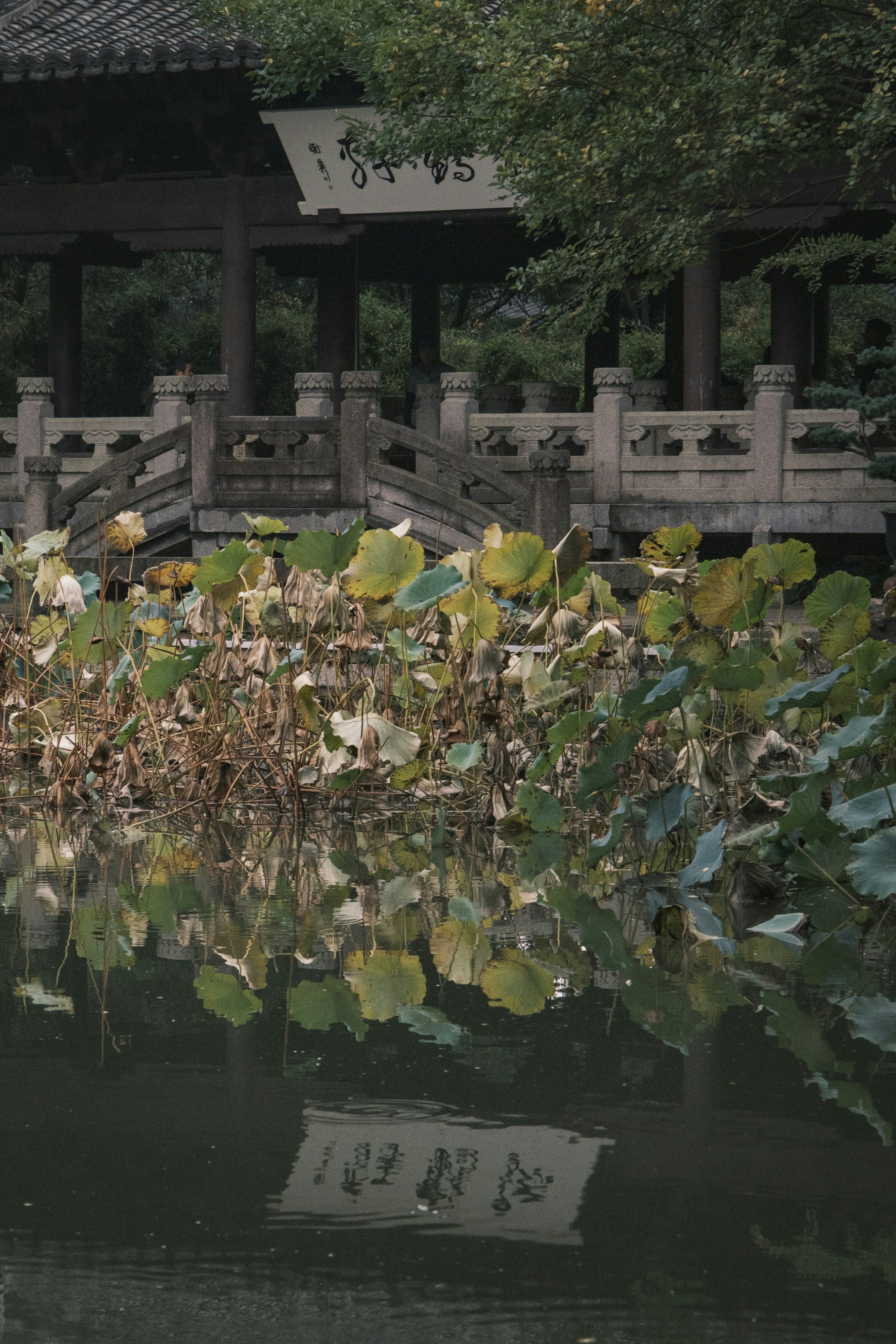 Photo by samuelwu