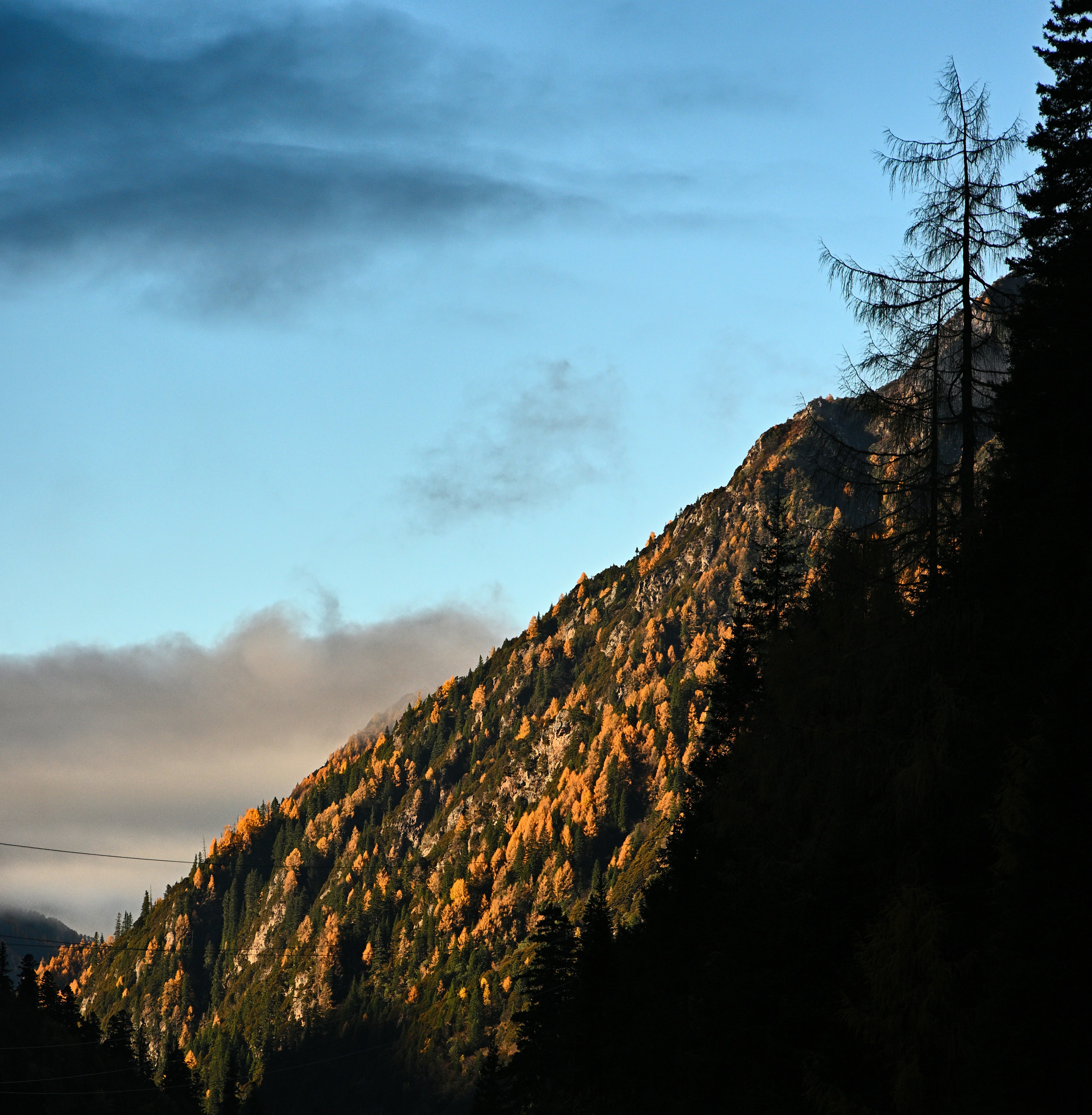 Autumn trees cover a steep mountain slope.