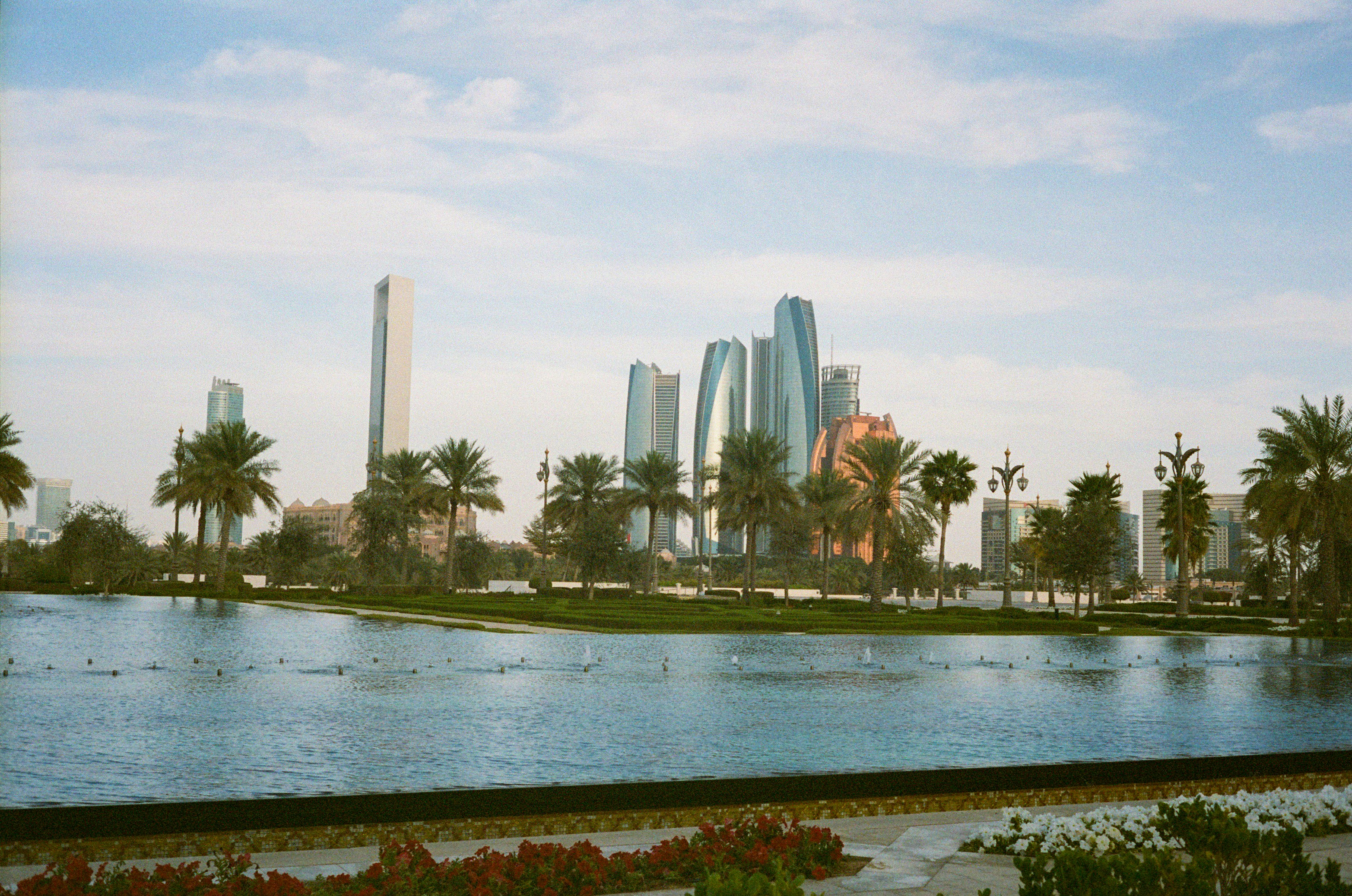 Modern city skyline with palm trees and a lake.