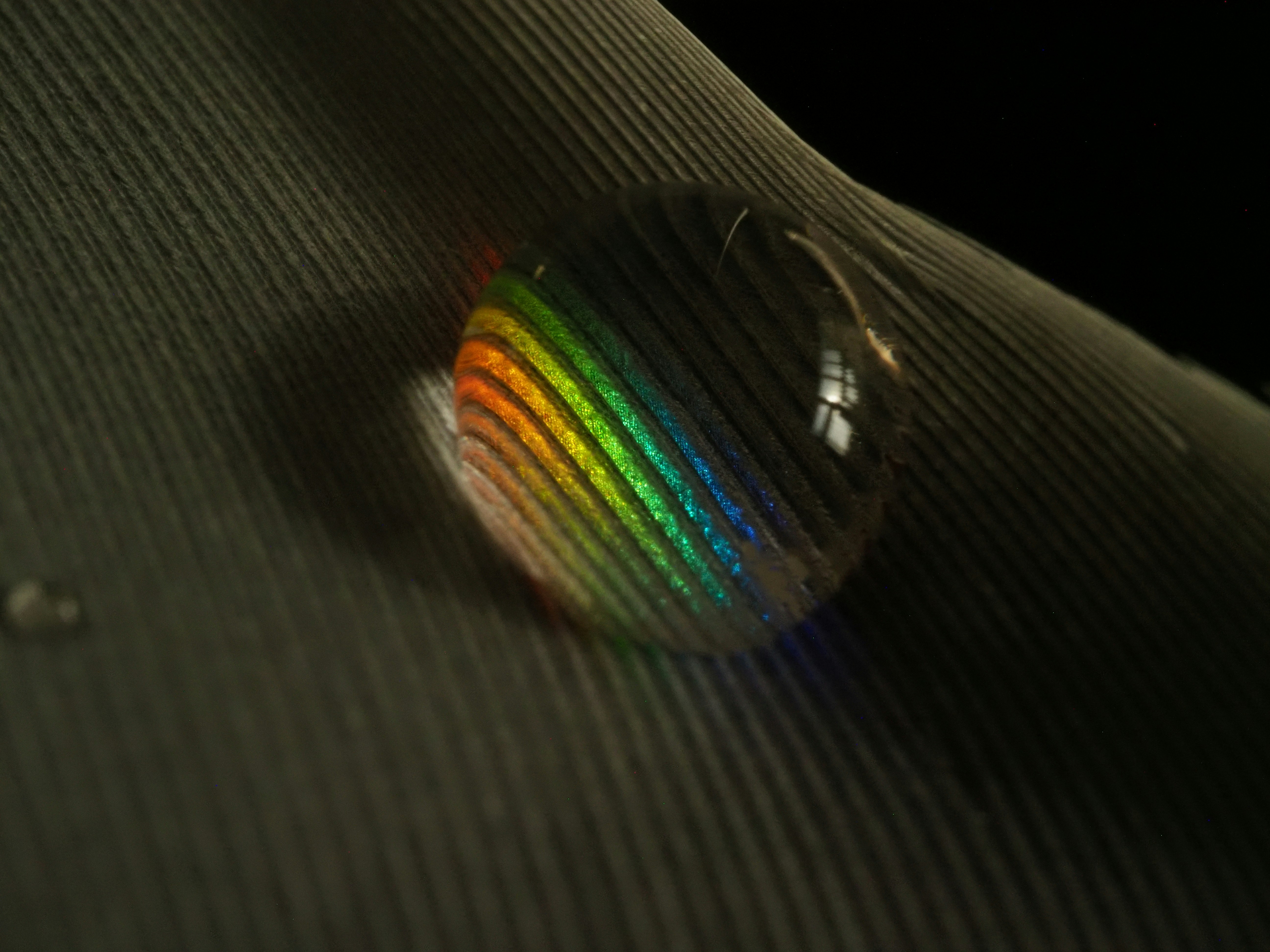 Humanity's First Glimpse: The Historic Image of a Supermassive Black Hole